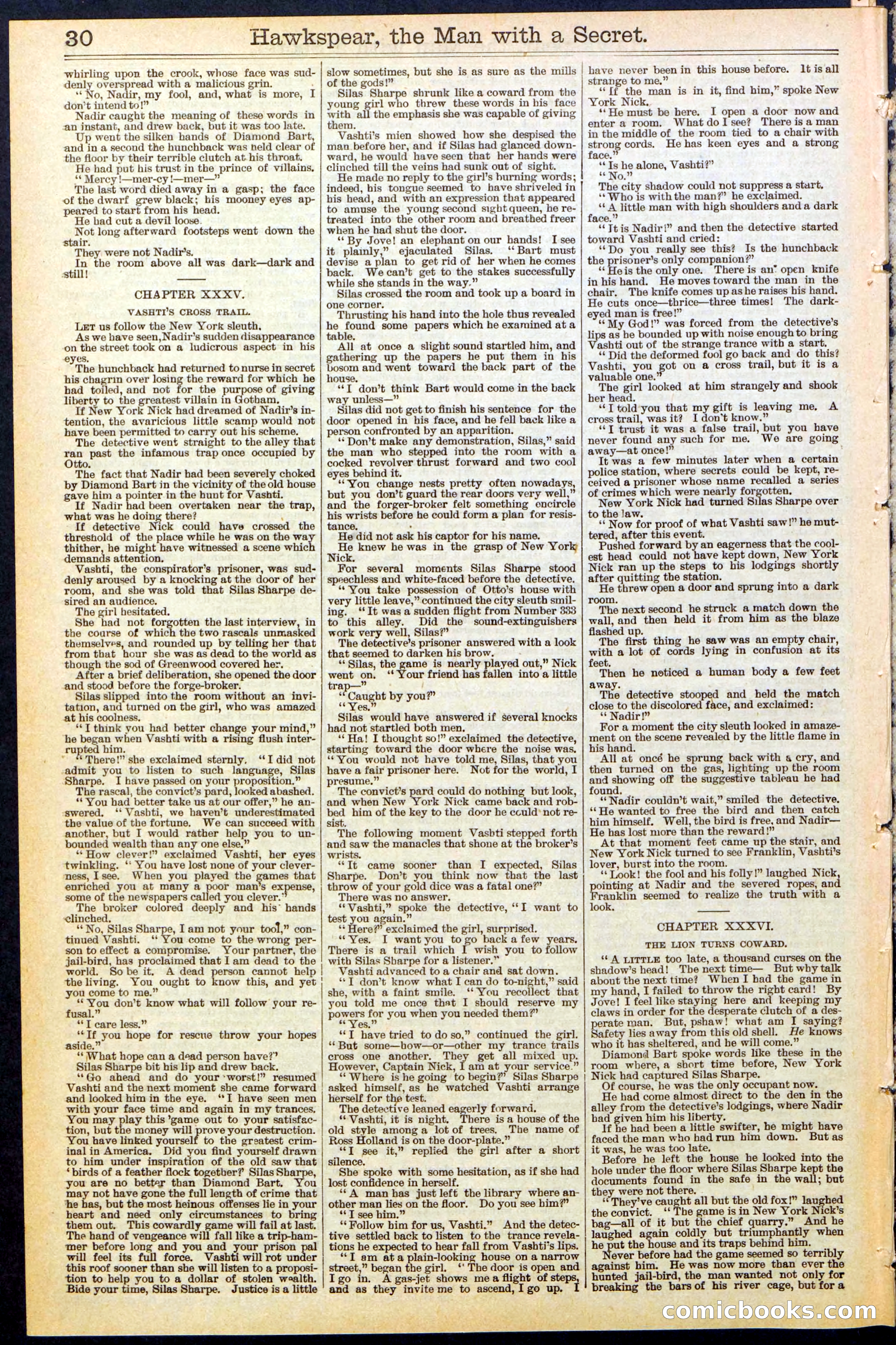 Beadle's New York Dime Library No. 480 — page 30 of 32