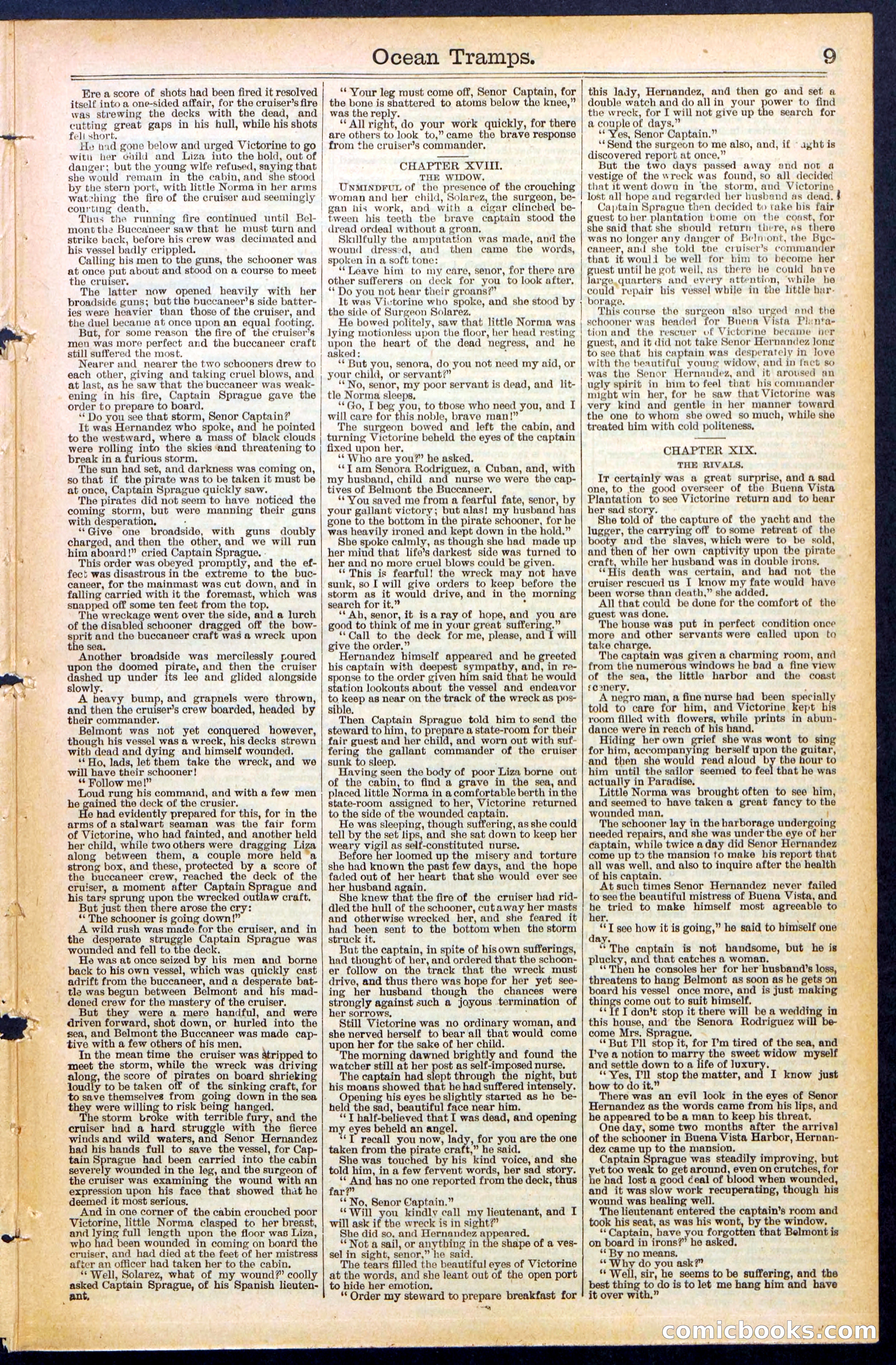 Beadle's New York Dime Library No. 482 — page 9 of 32