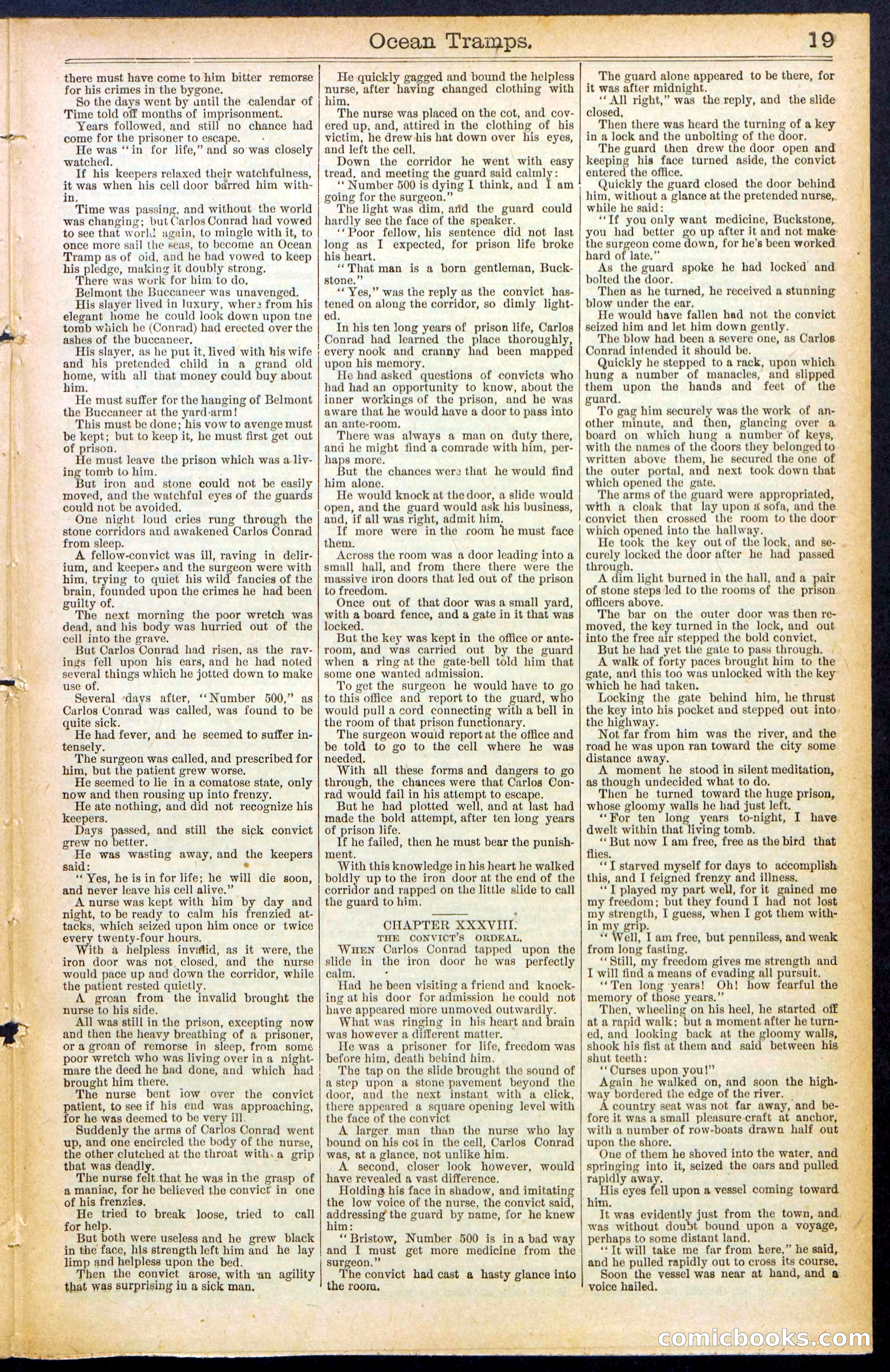 Beadle's New York Dime Library No. 482 — page 19 of 32