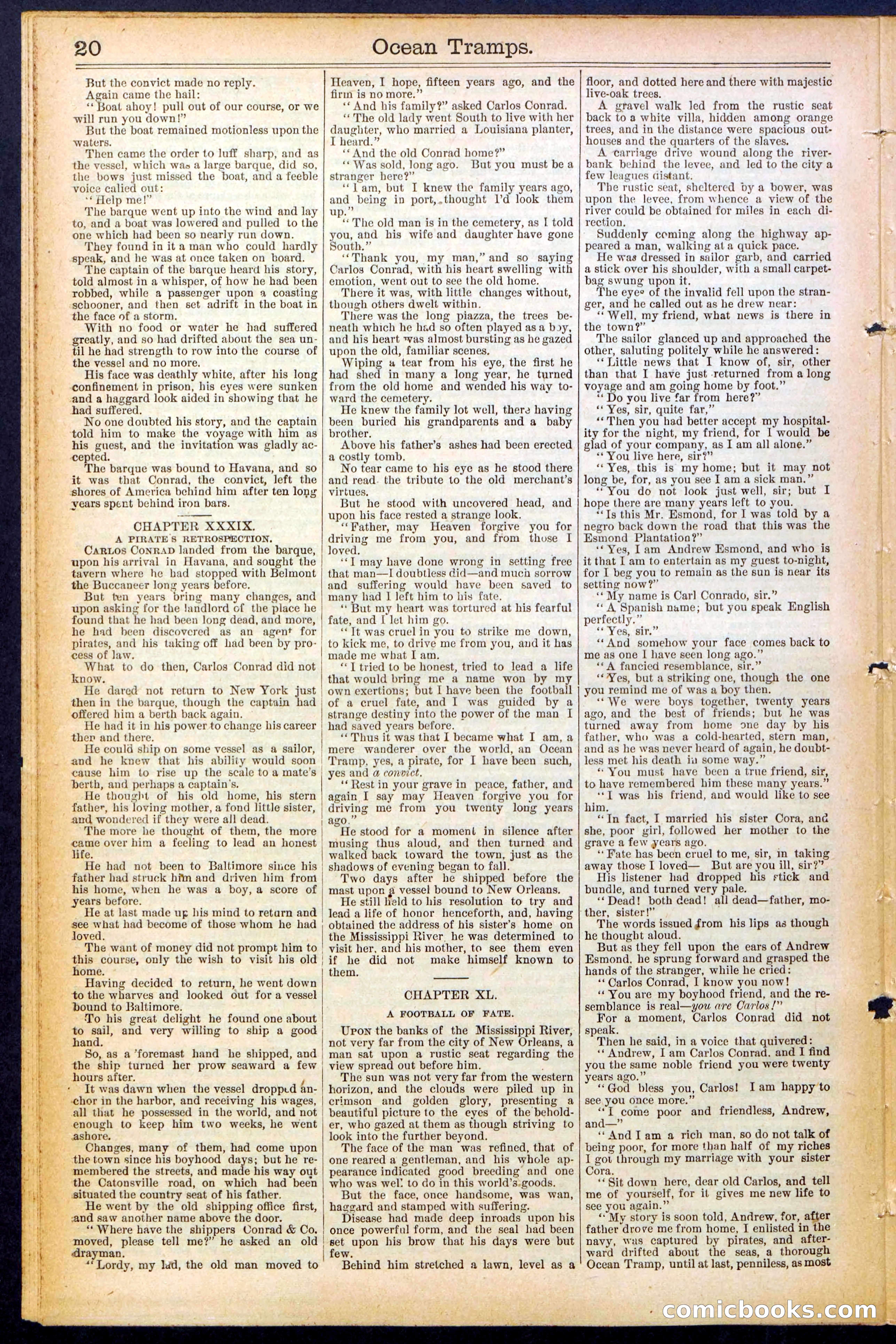 Beadle's New York Dime Library No. 482 — page 20 of 32
