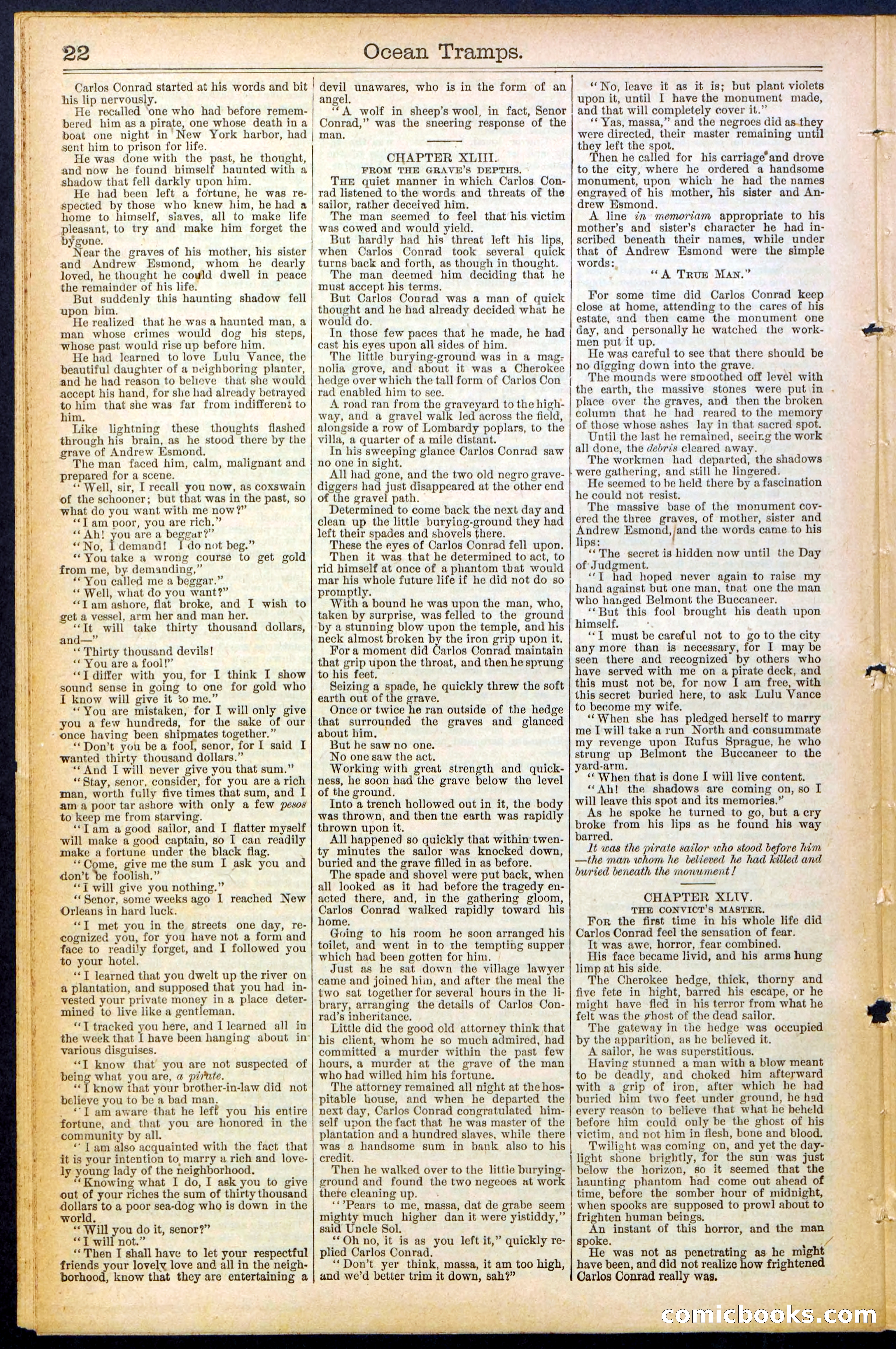 Beadle's New York Dime Library No. 482 — page 22 of 32