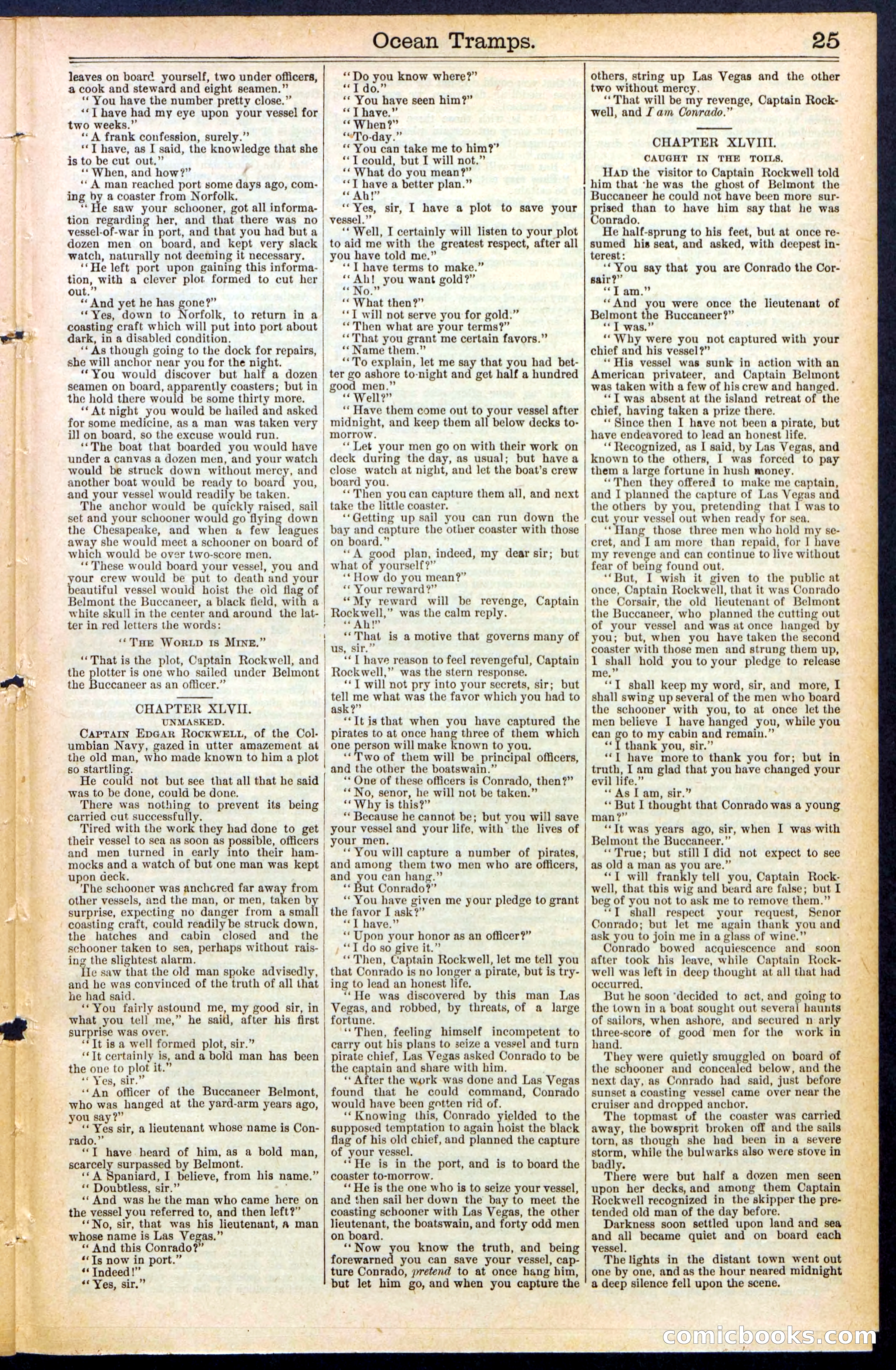 Beadle's New York Dime Library No. 482 — page 25 of 32