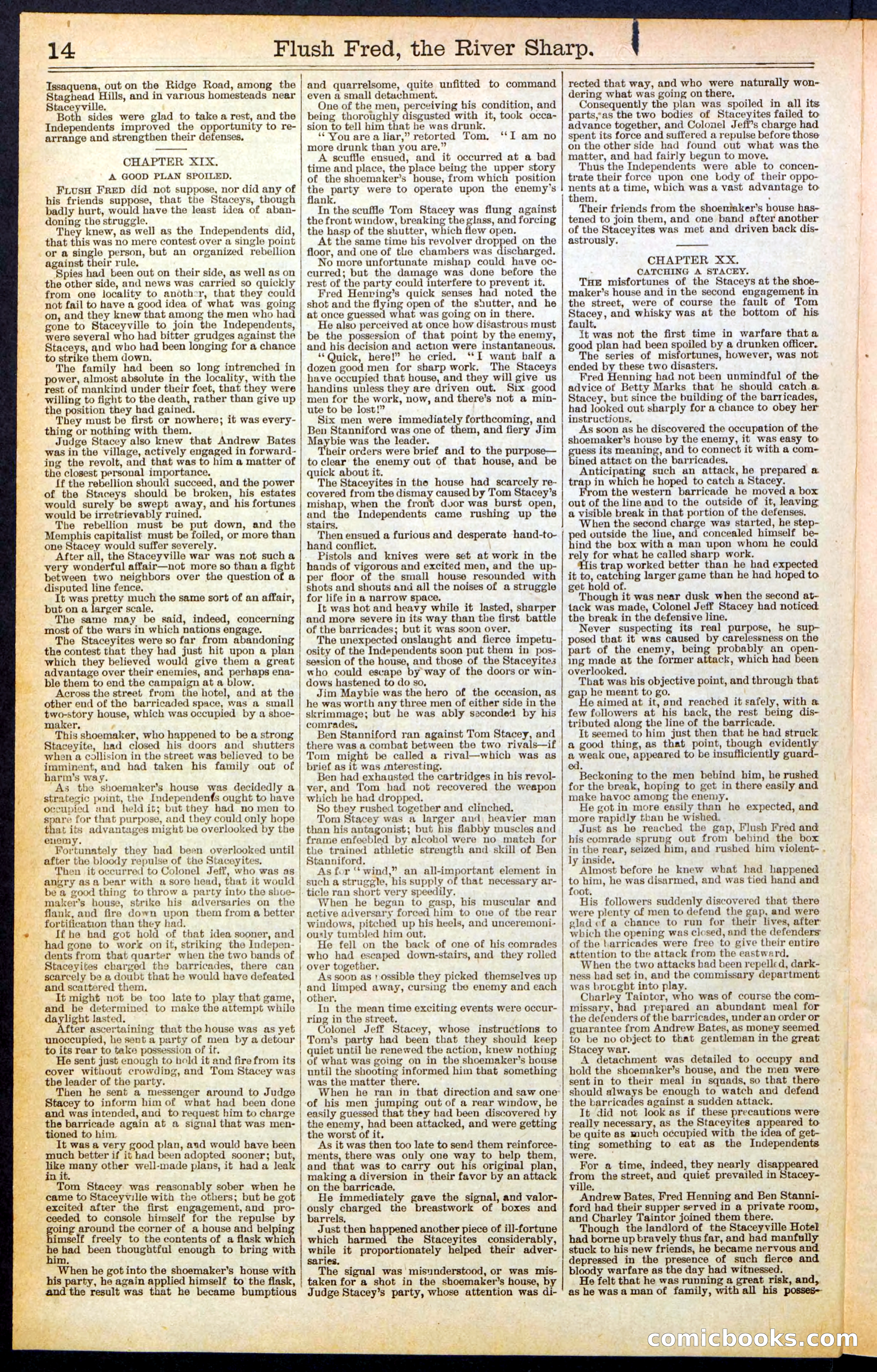 Beadle's New York Dime Library No. 483 — page 14 of 32