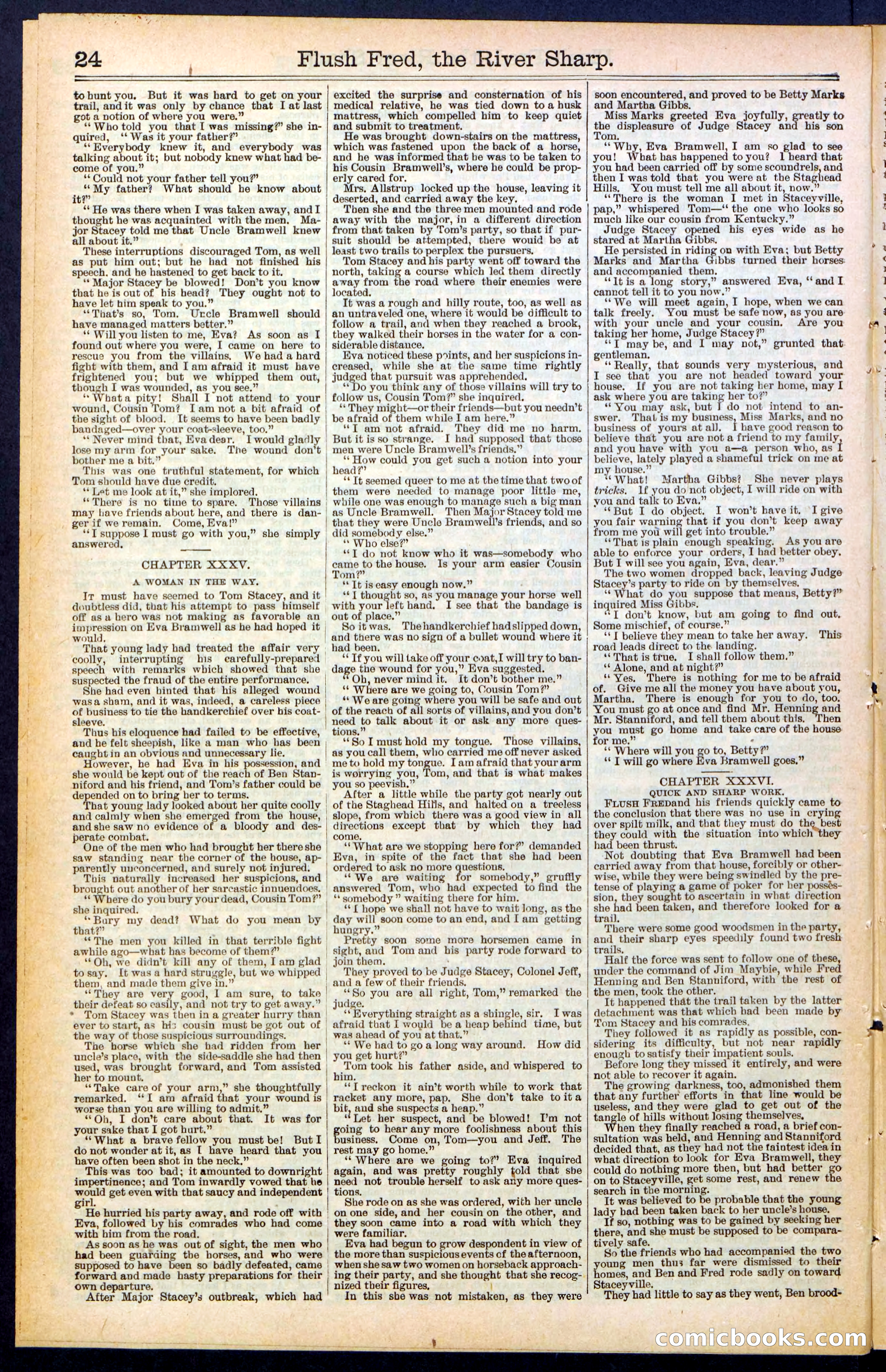 Beadle's New York Dime Library No. 483 — page 24 of 32
