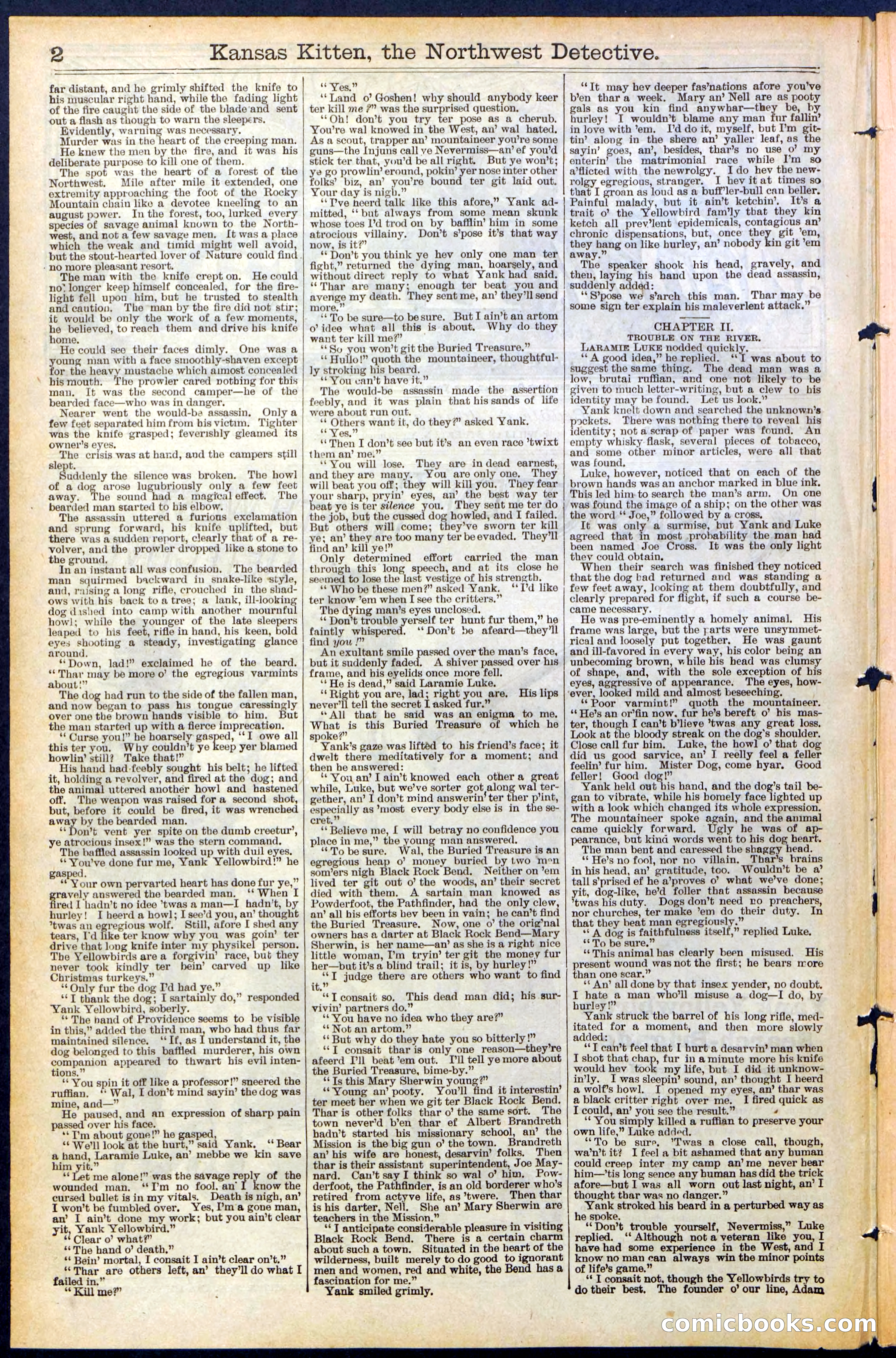 Beadle's New York Dime Library, No. 486 — page 2 of 32