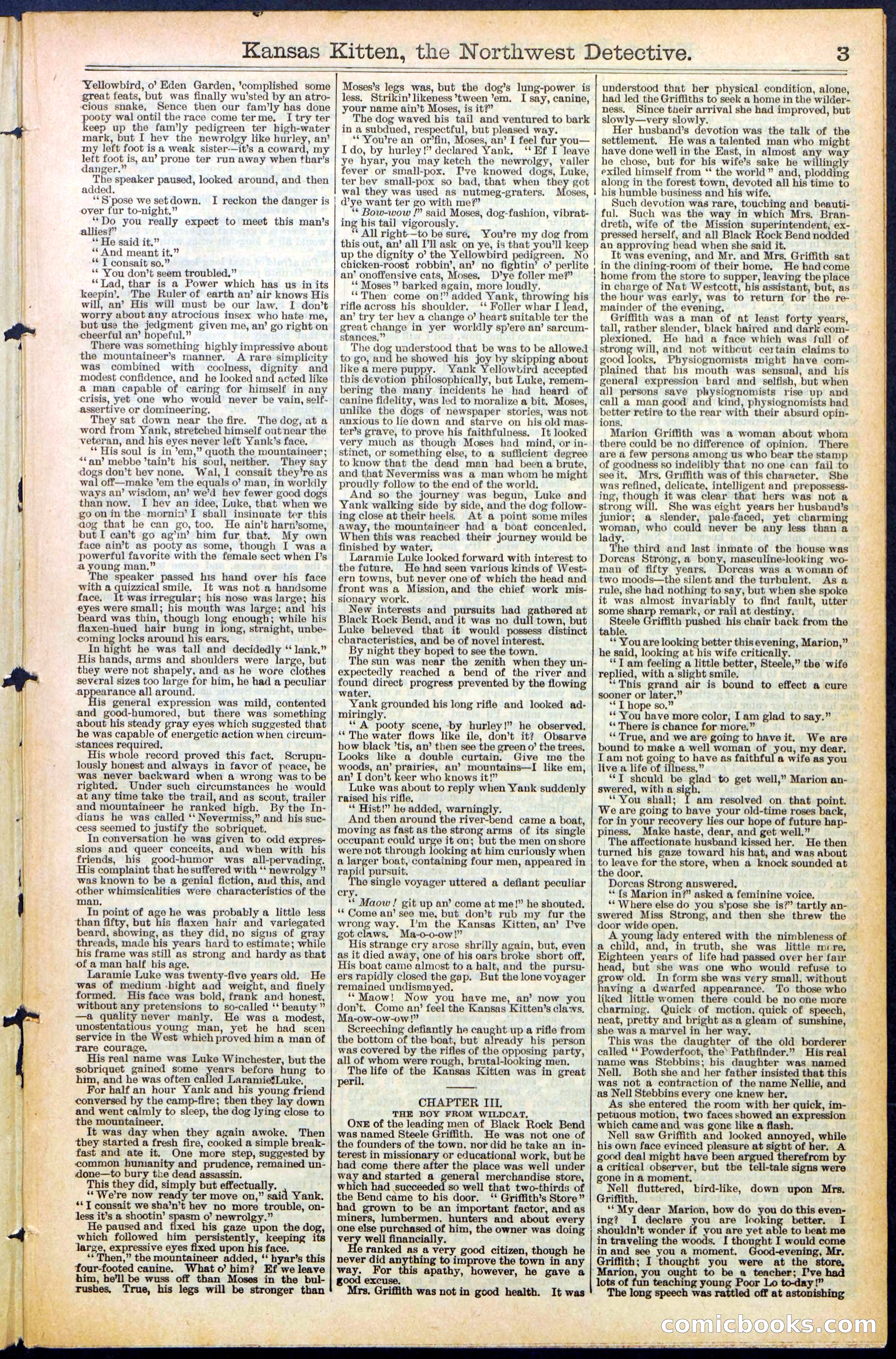 Beadle's New York Dime Library, No. 486 — page 3 of 32
