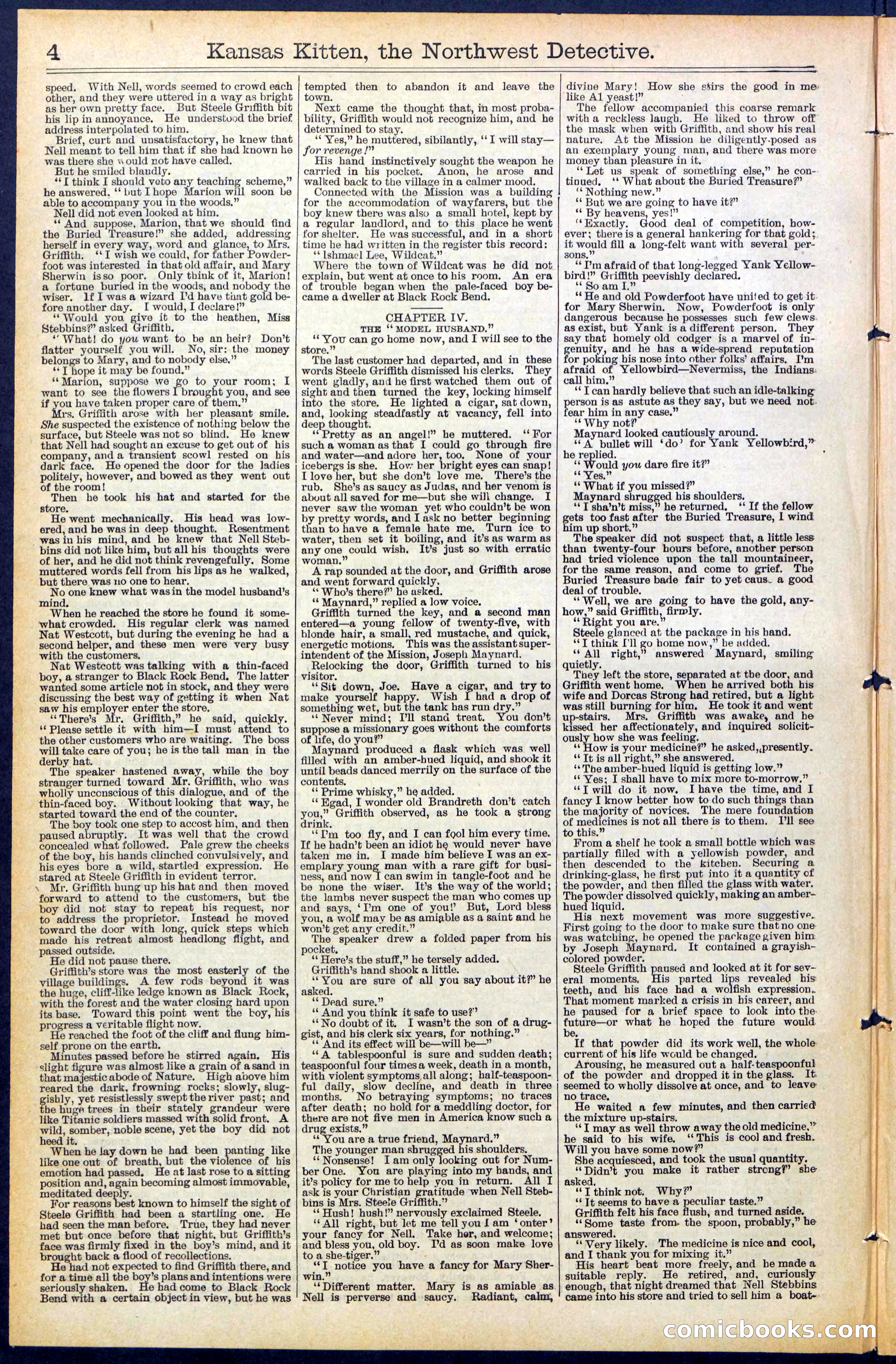 Beadle's New York Dime Library, No. 486 — page 4 of 32