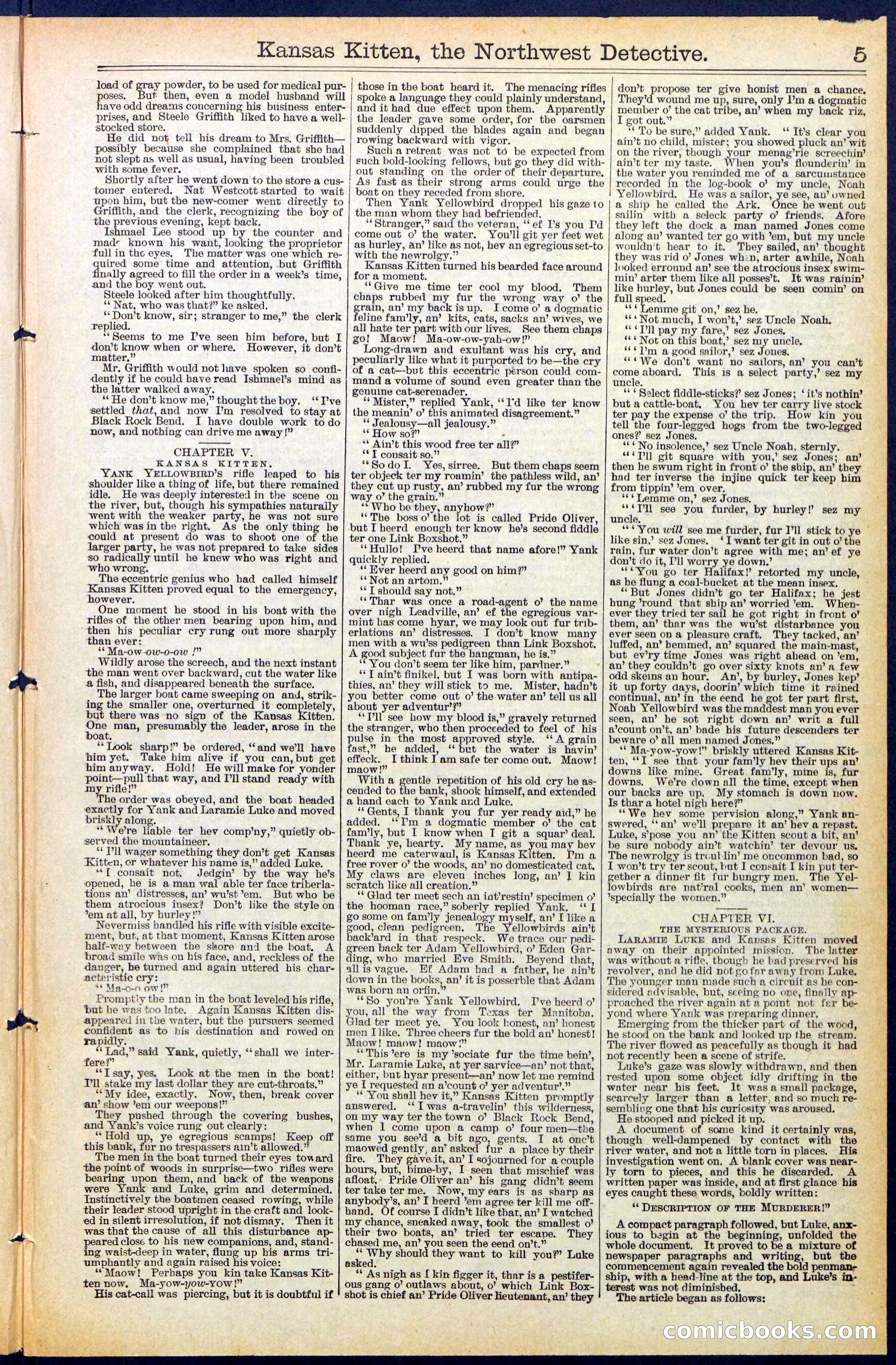 Beadle's New York Dime Library, No. 486 — page 5 of 32
