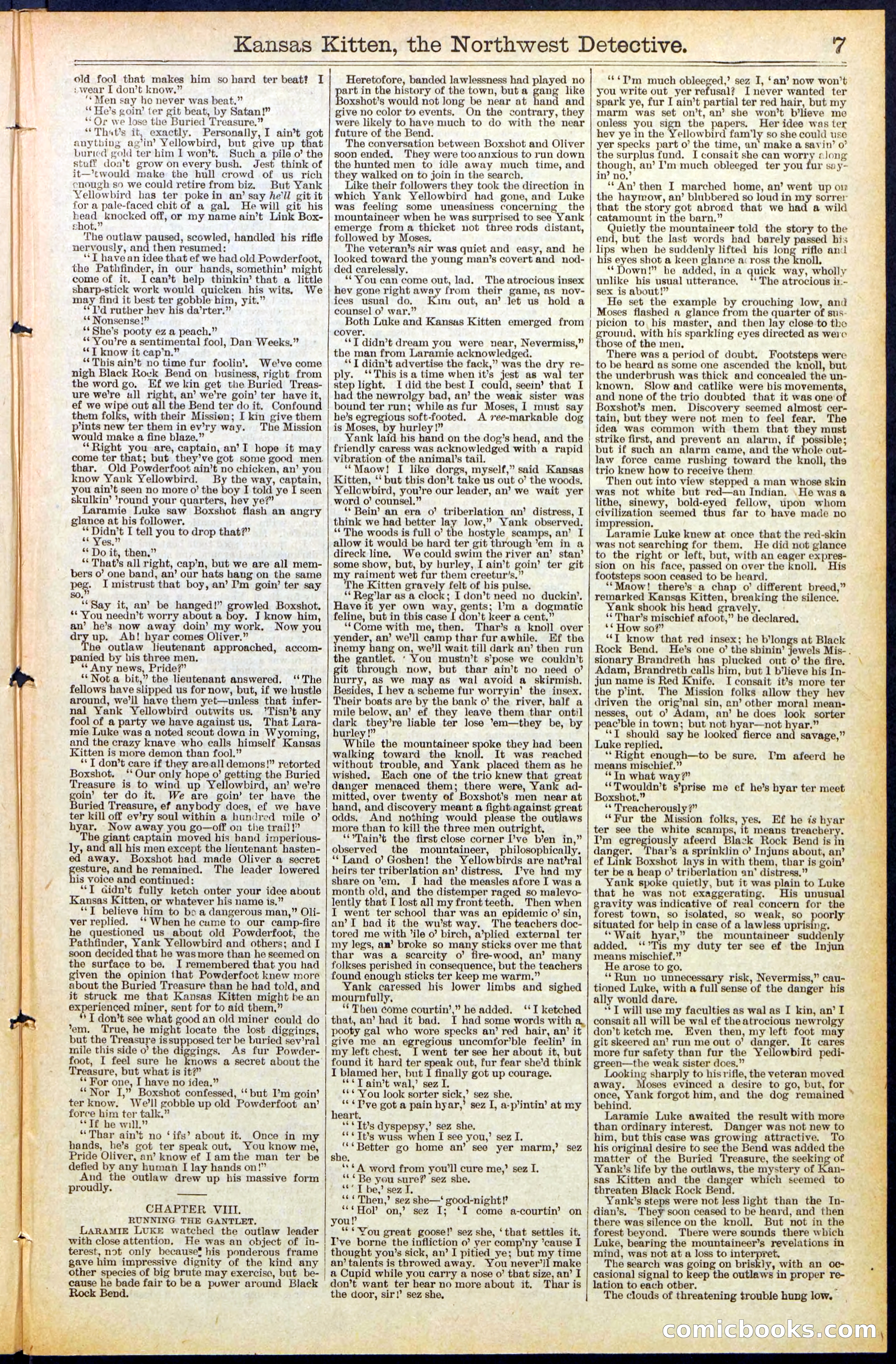 Beadle's New York Dime Library, No. 486 — page 7 of 32