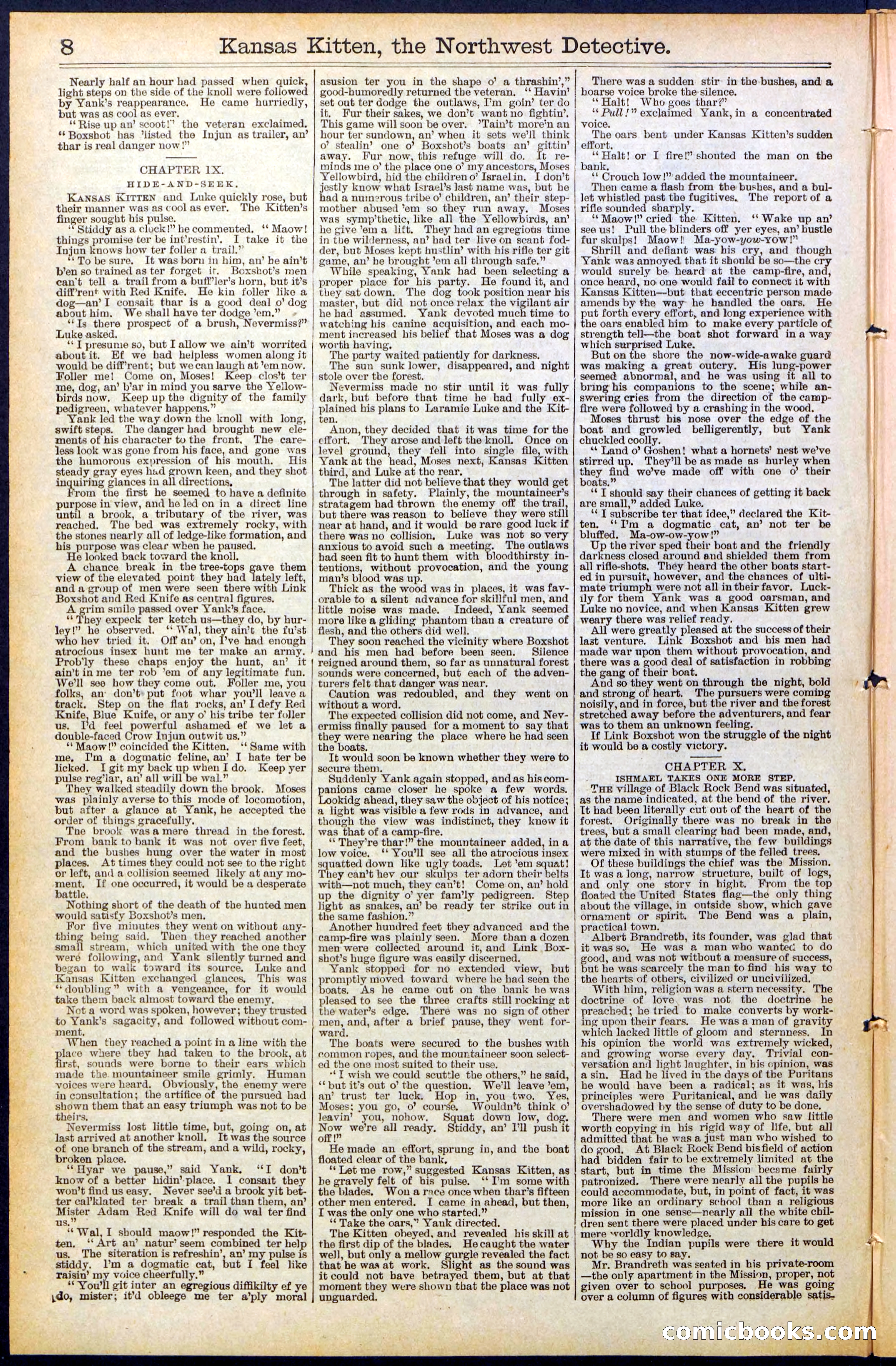 Beadle's New York Dime Library, No. 486 — page 8 of 32