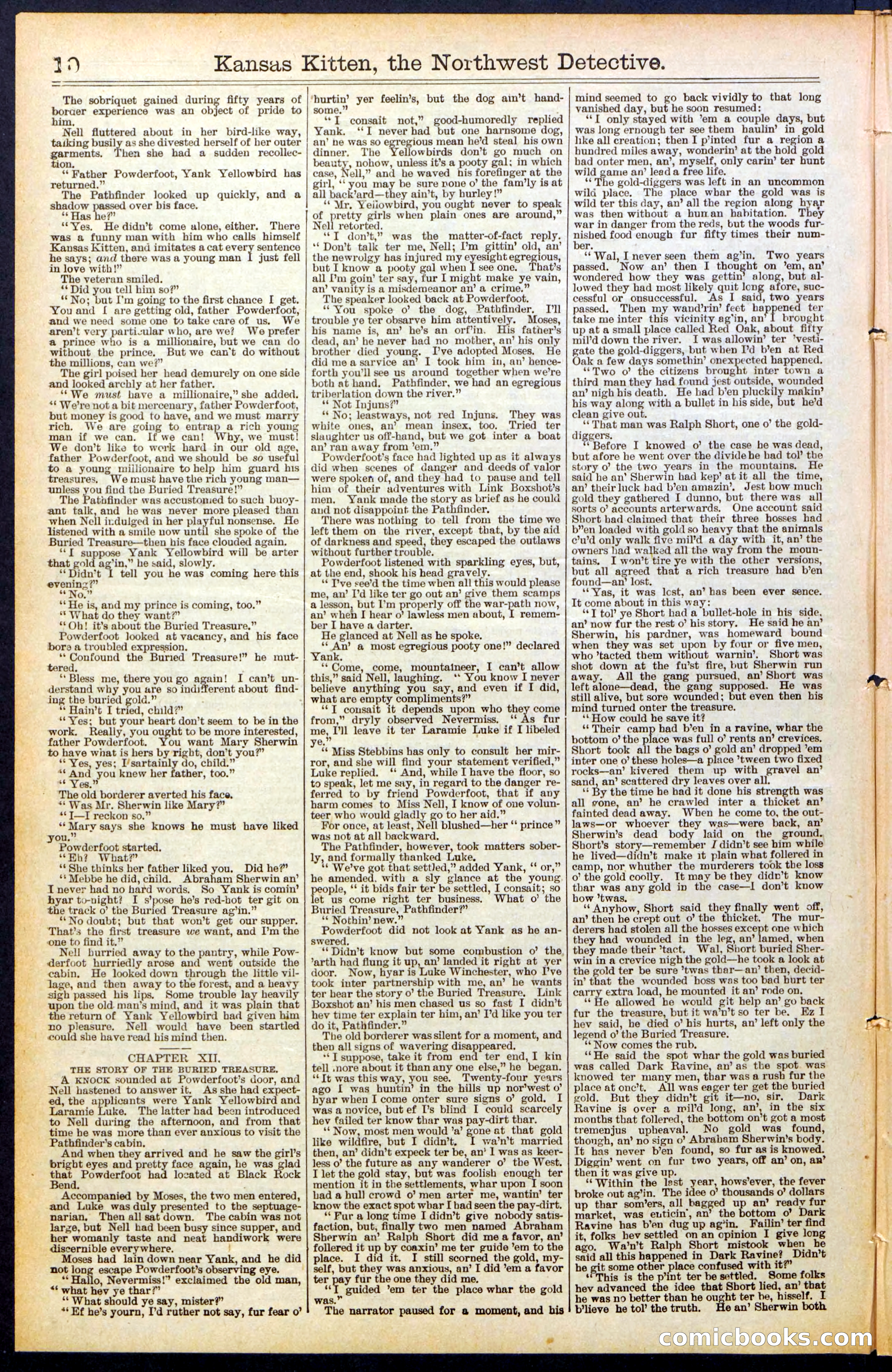 Beadle's New York Dime Library, No. 486 — page 10 of 32