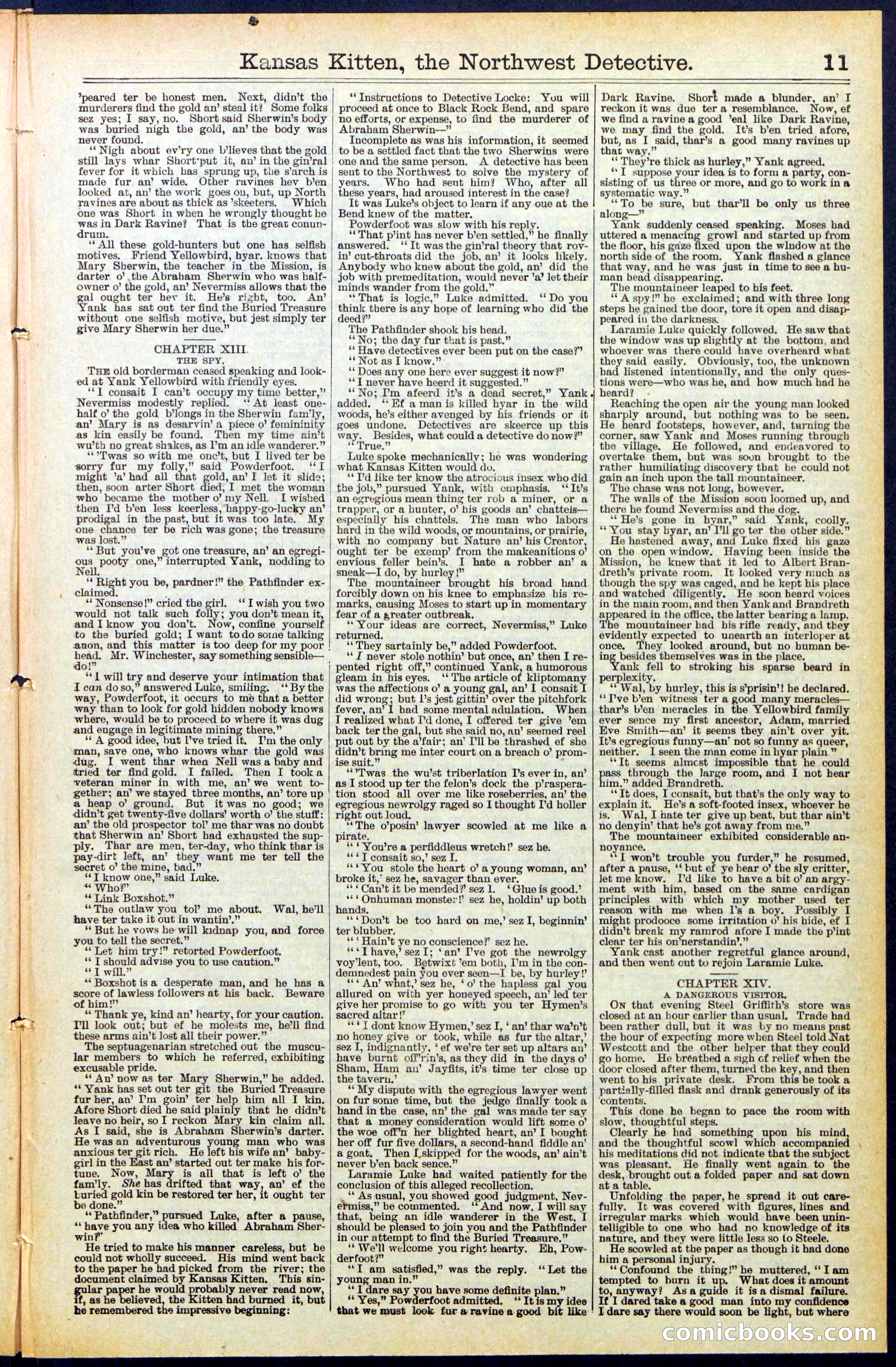 Beadle's New York Dime Library, No. 486 — page 11 of 32
