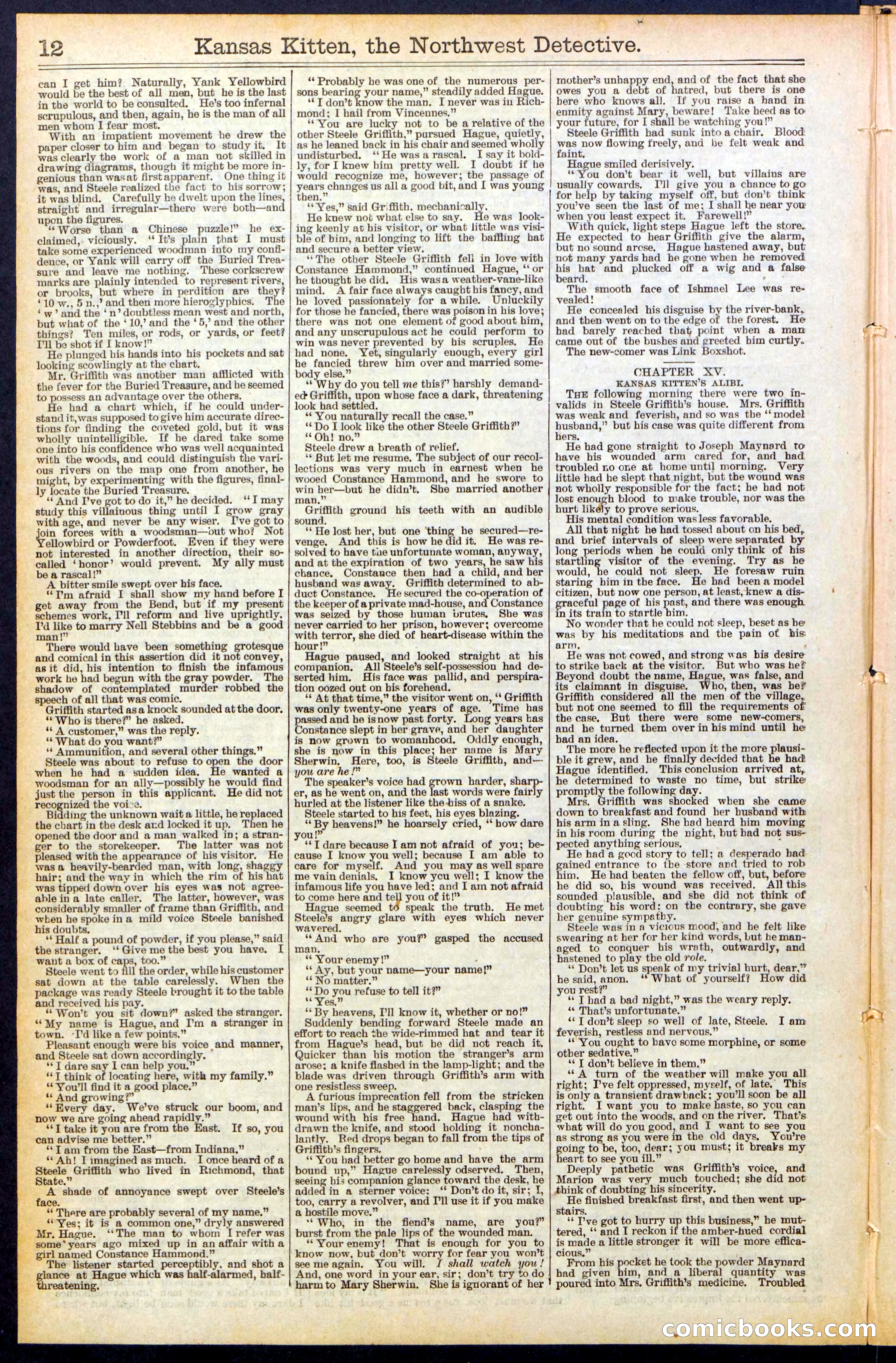 Beadle's New York Dime Library, No. 486 — page 12 of 32