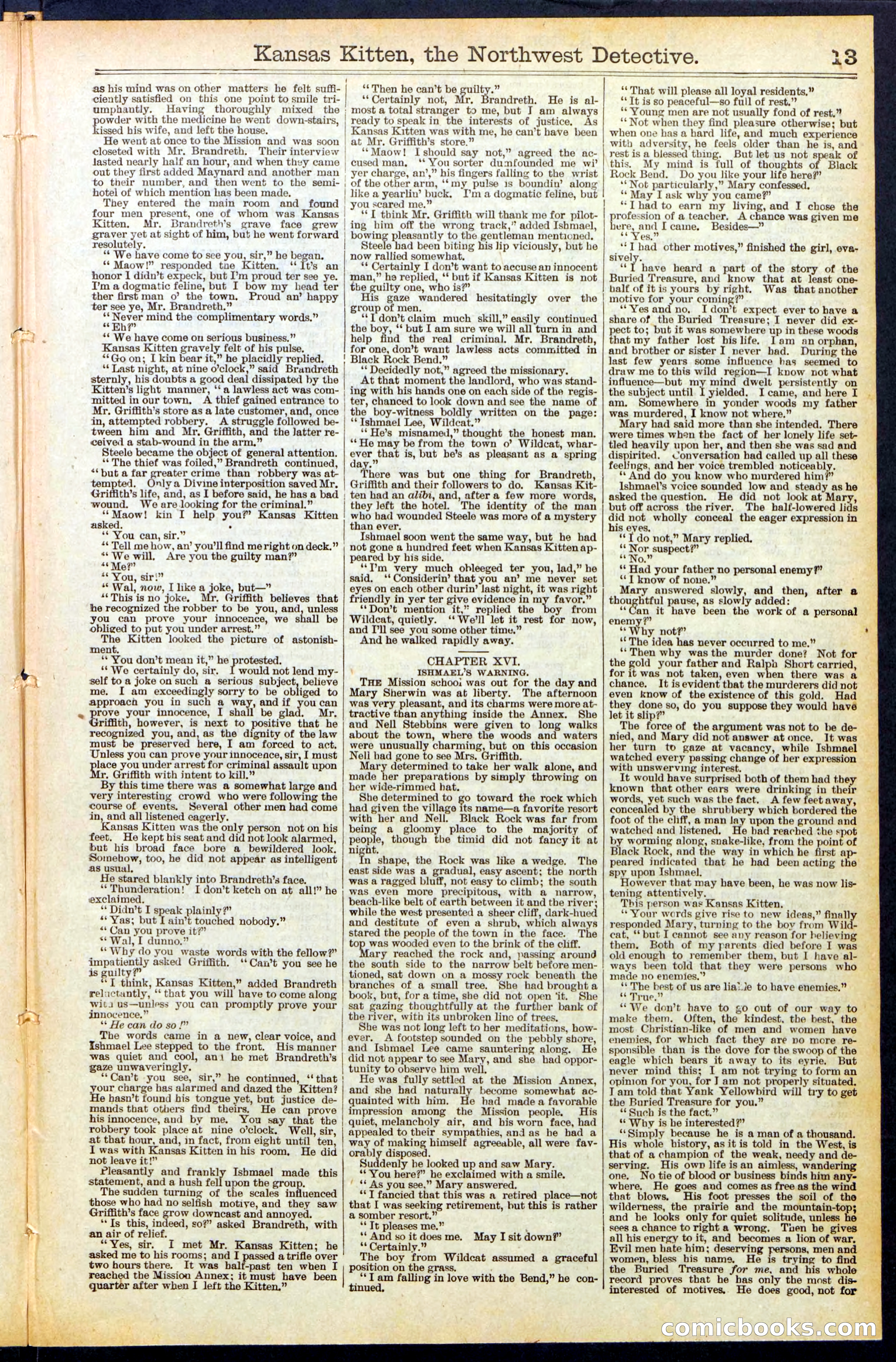 Beadle's New York Dime Library, No. 486 — page 13 of 32