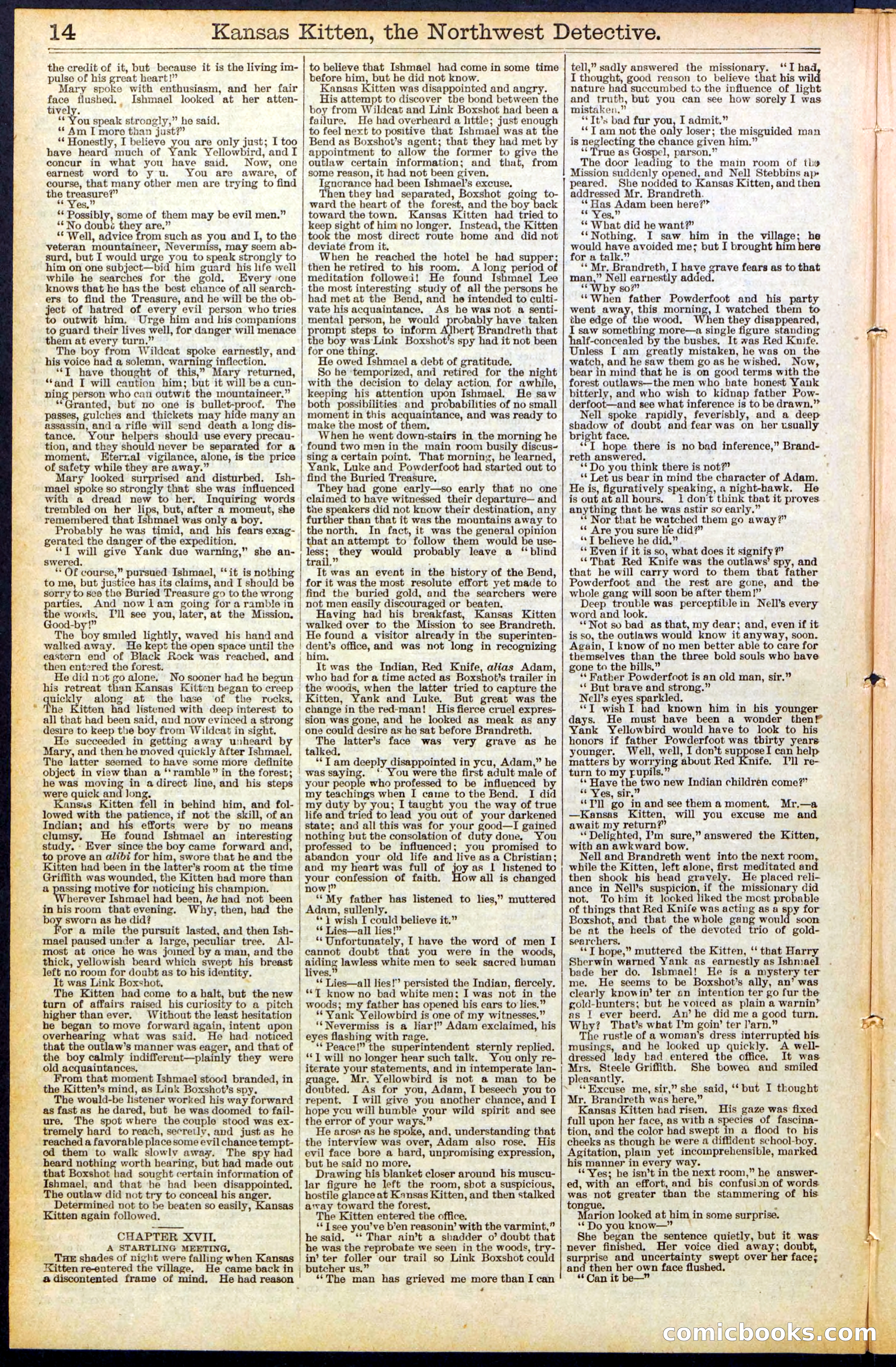 Beadle's New York Dime Library, No. 486 — page 14 of 32