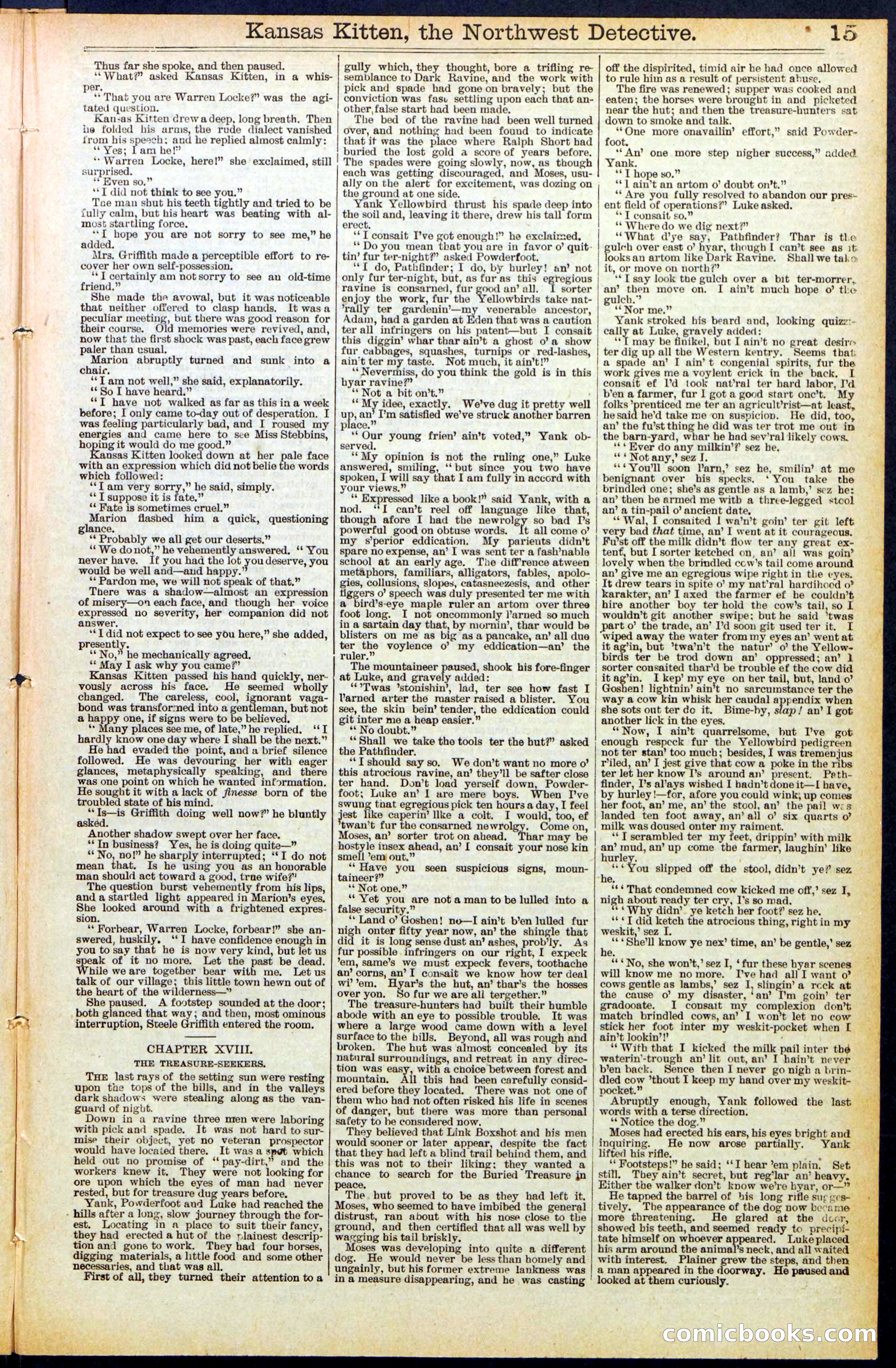 Beadle's New York Dime Library, No. 486 — page 15 of 32
