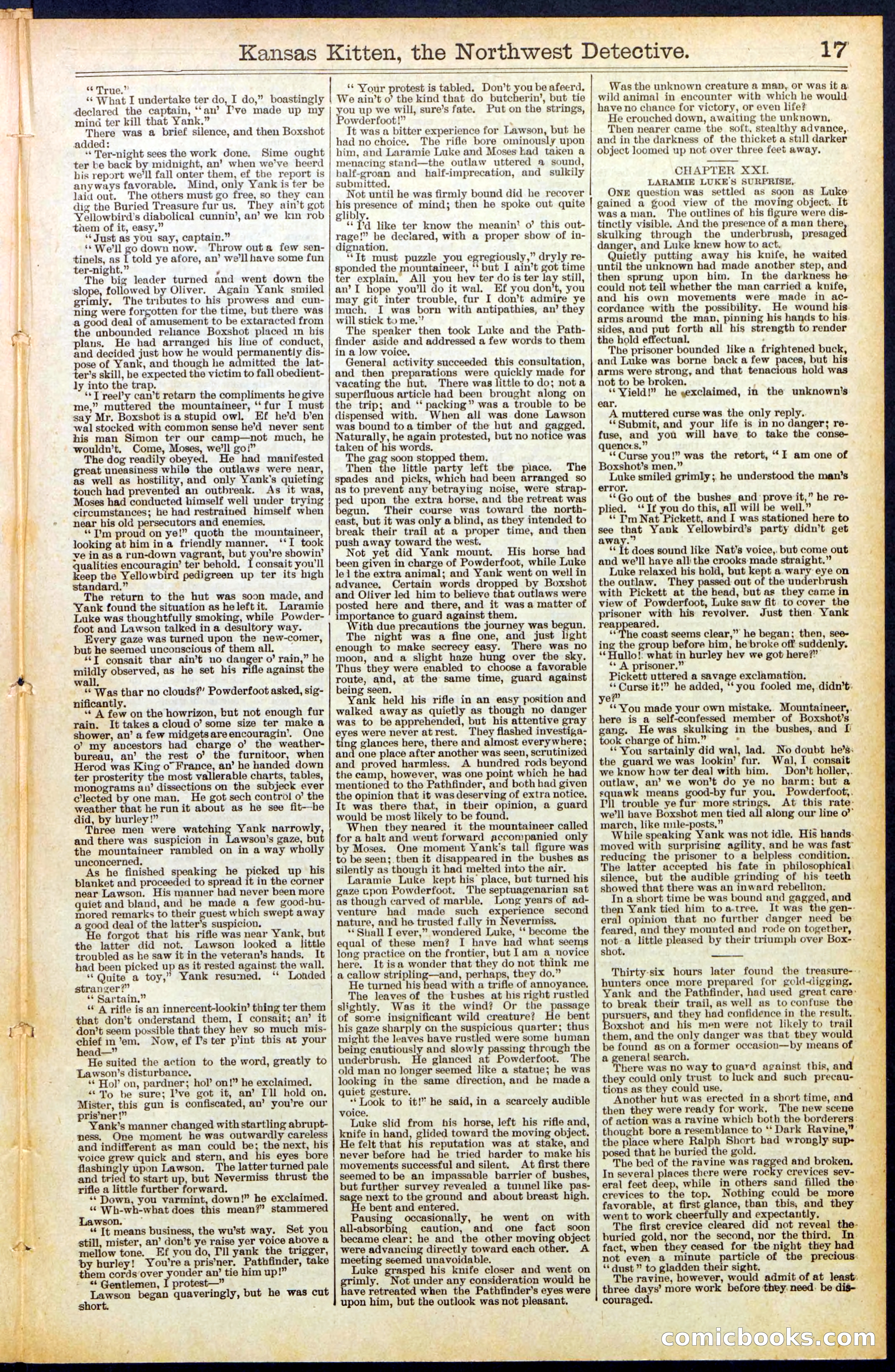 Beadle's New York Dime Library, No. 486 — page 17 of 32