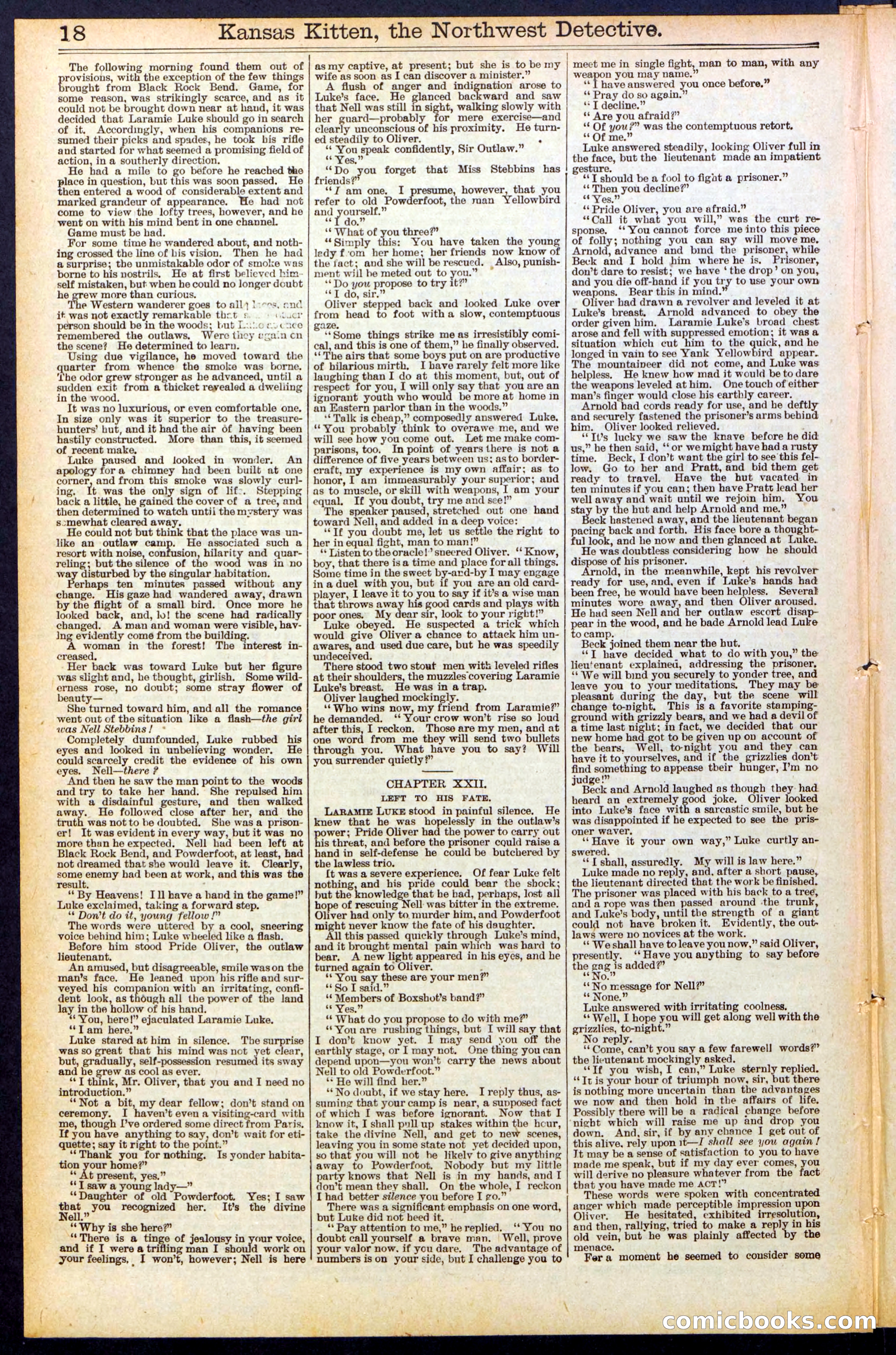 Beadle's New York Dime Library, No. 486 — page 18 of 32