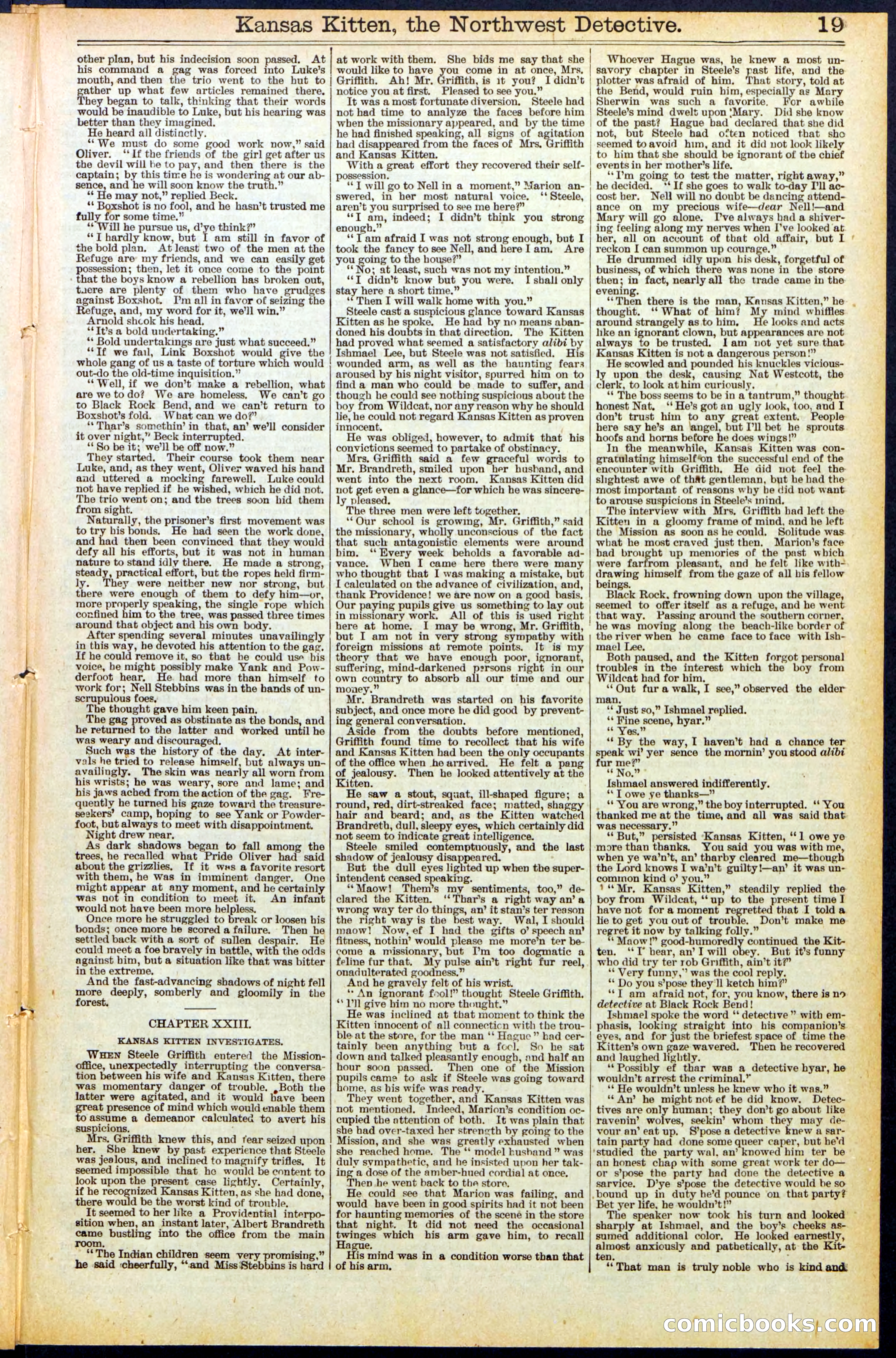 Beadle's New York Dime Library, No. 486 — page 19 of 32