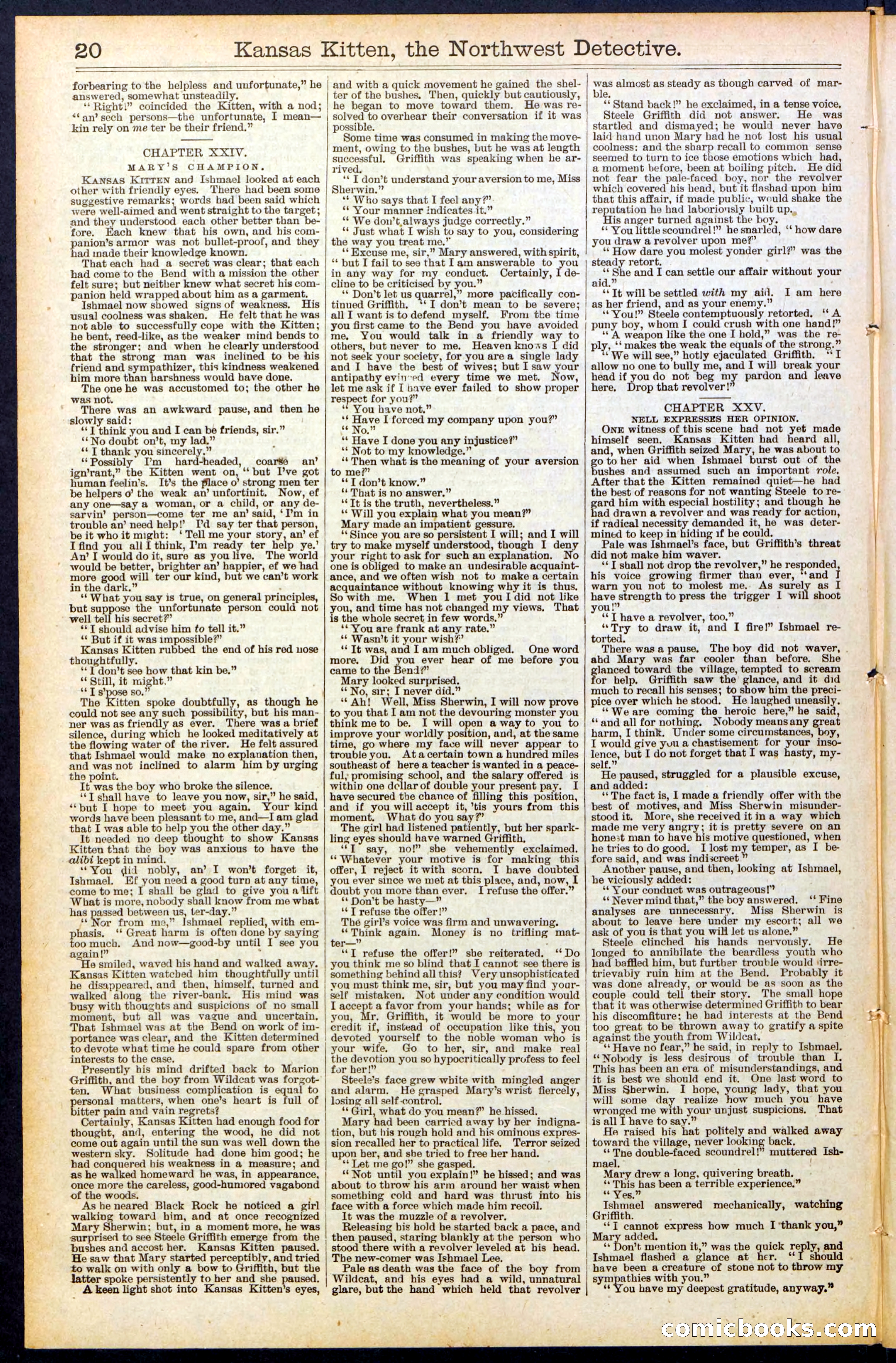 Beadle's New York Dime Library, No. 486 — page 20 of 32