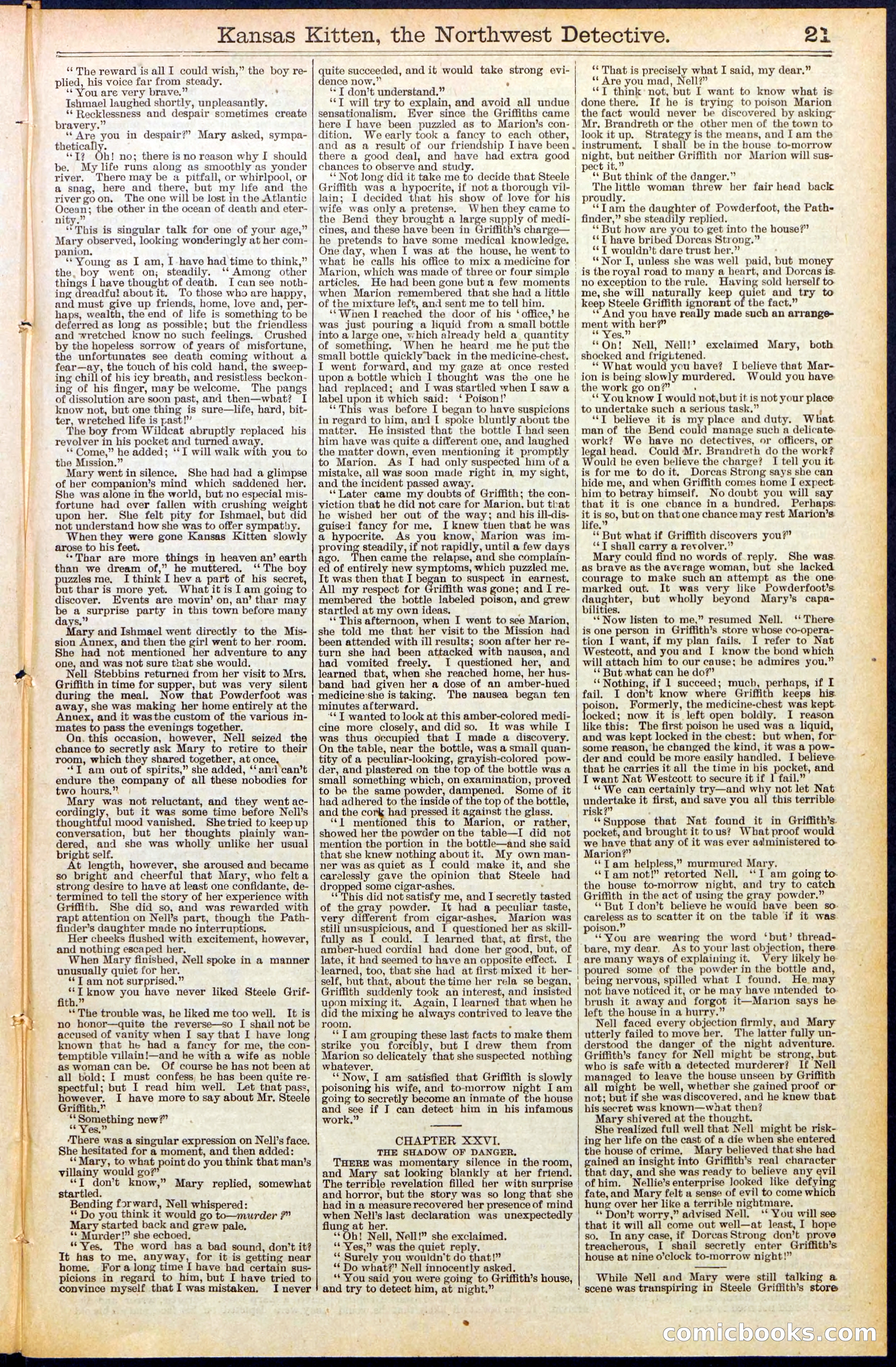 Beadle's New York Dime Library, No. 486 — page 21 of 32