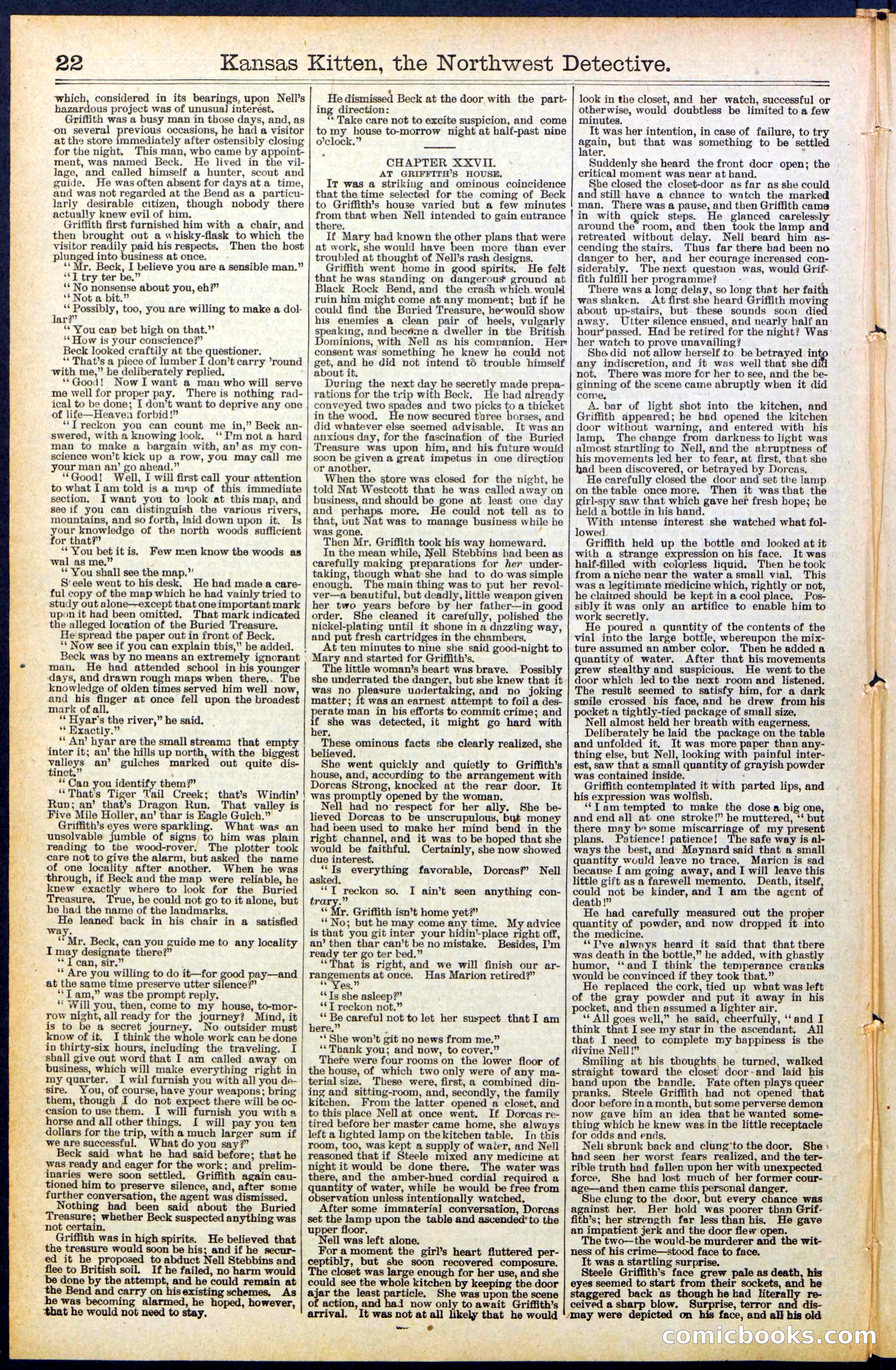 Beadle's New York Dime Library, No. 486 — page 22 of 32