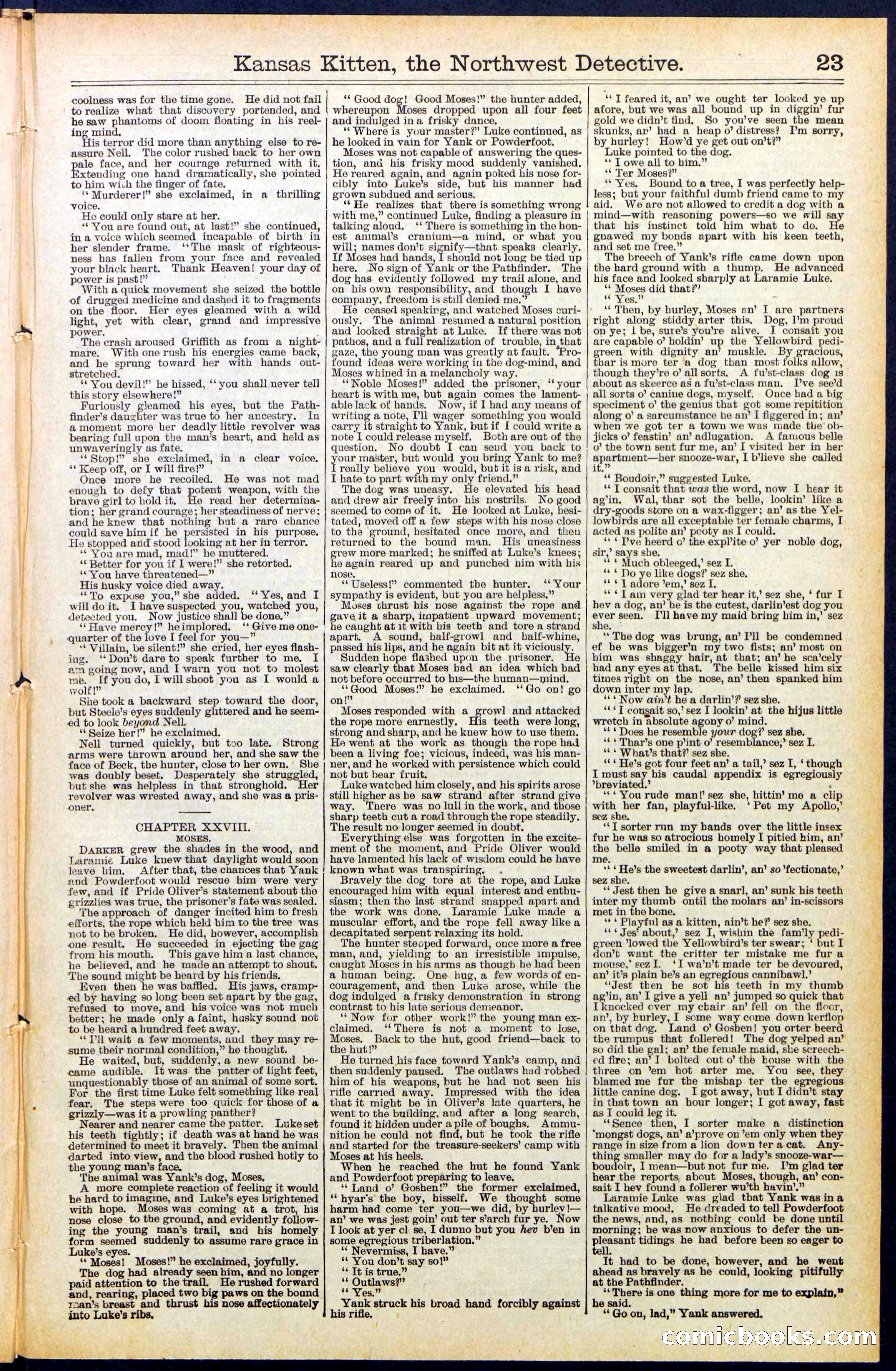 Beadle's New York Dime Library, No. 486 — page 23 of 32