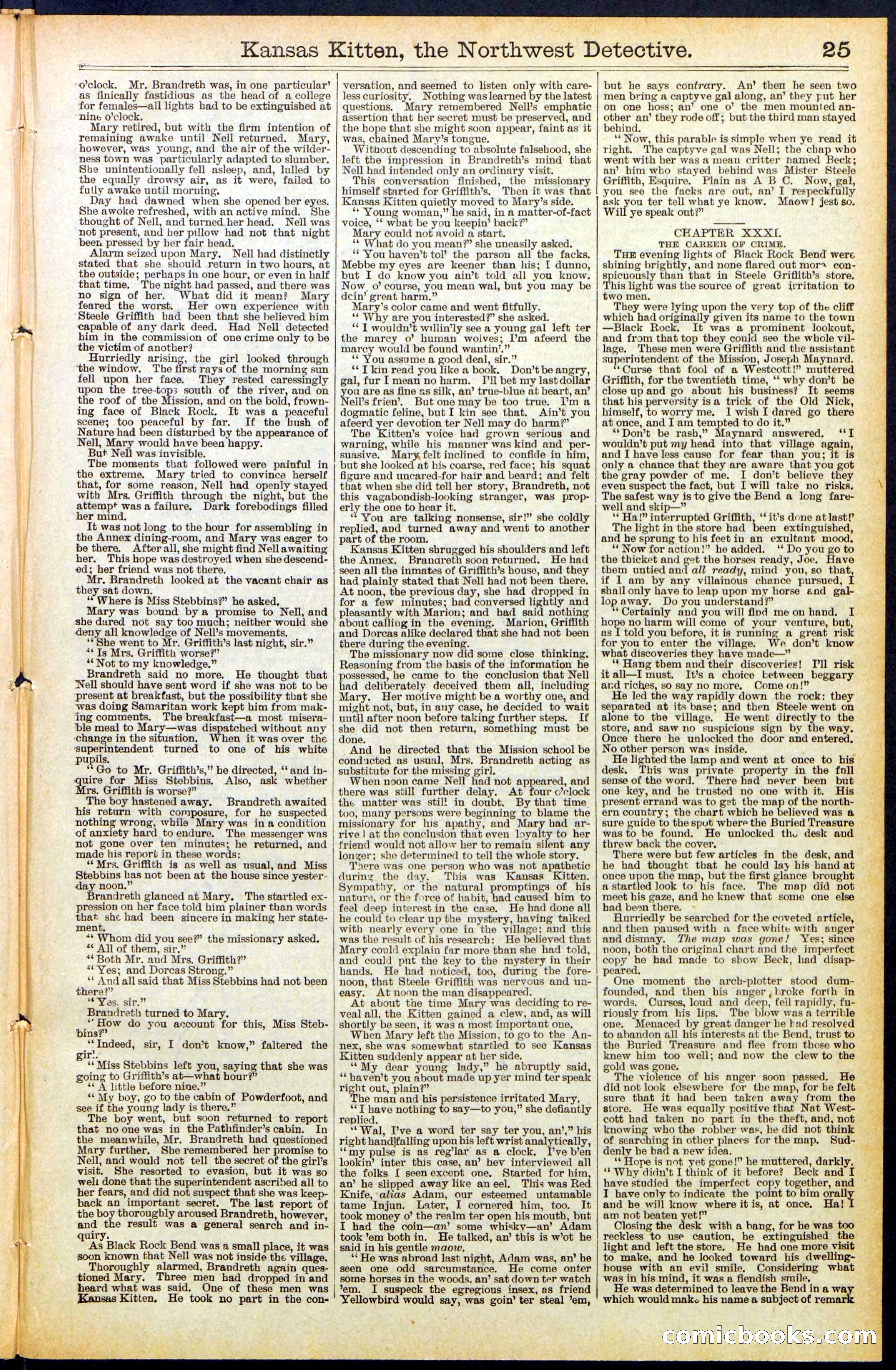 Beadle's New York Dime Library, No. 486 — page 25 of 32