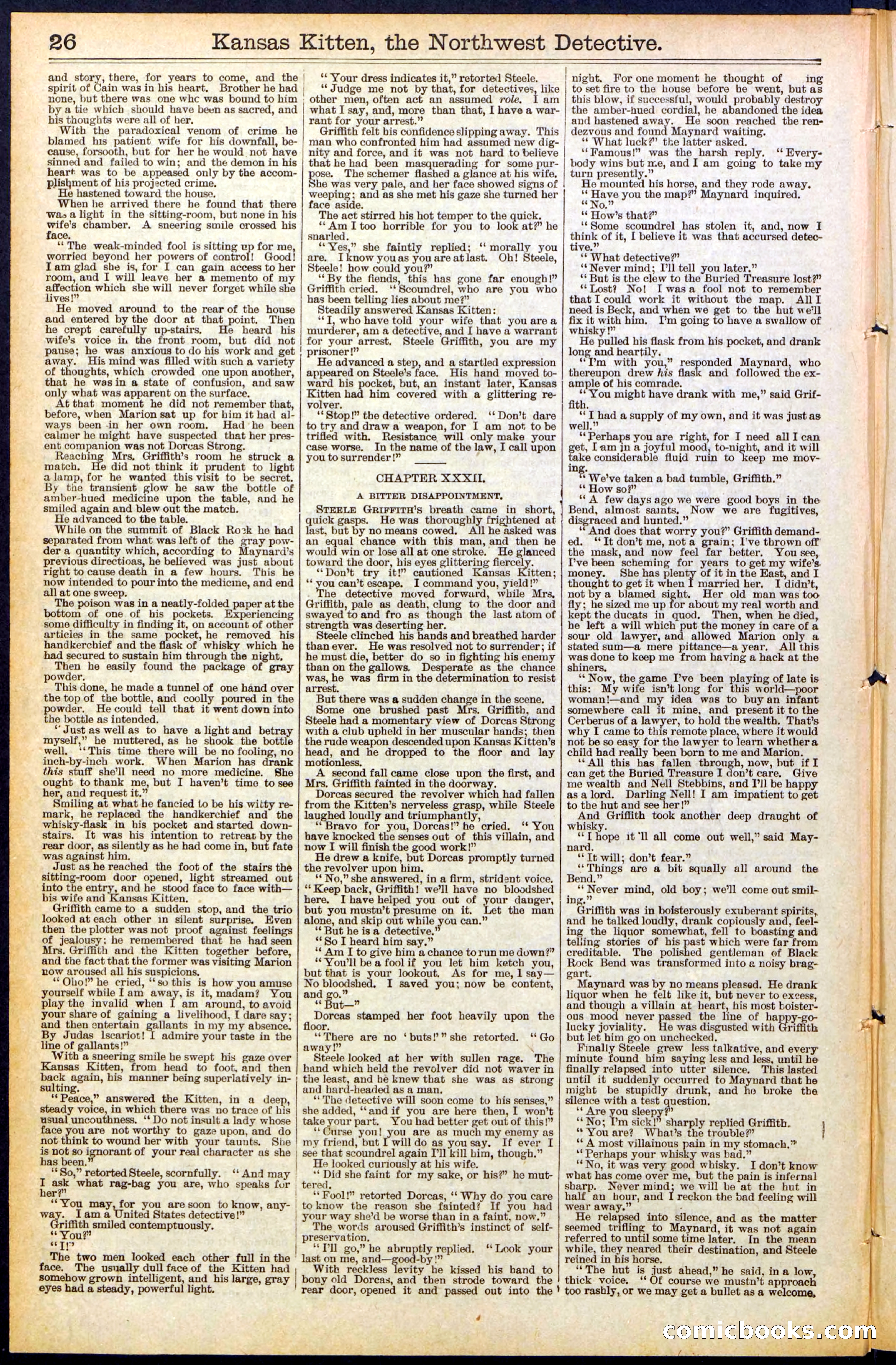 Beadle's New York Dime Library, No. 486 — page 26 of 32