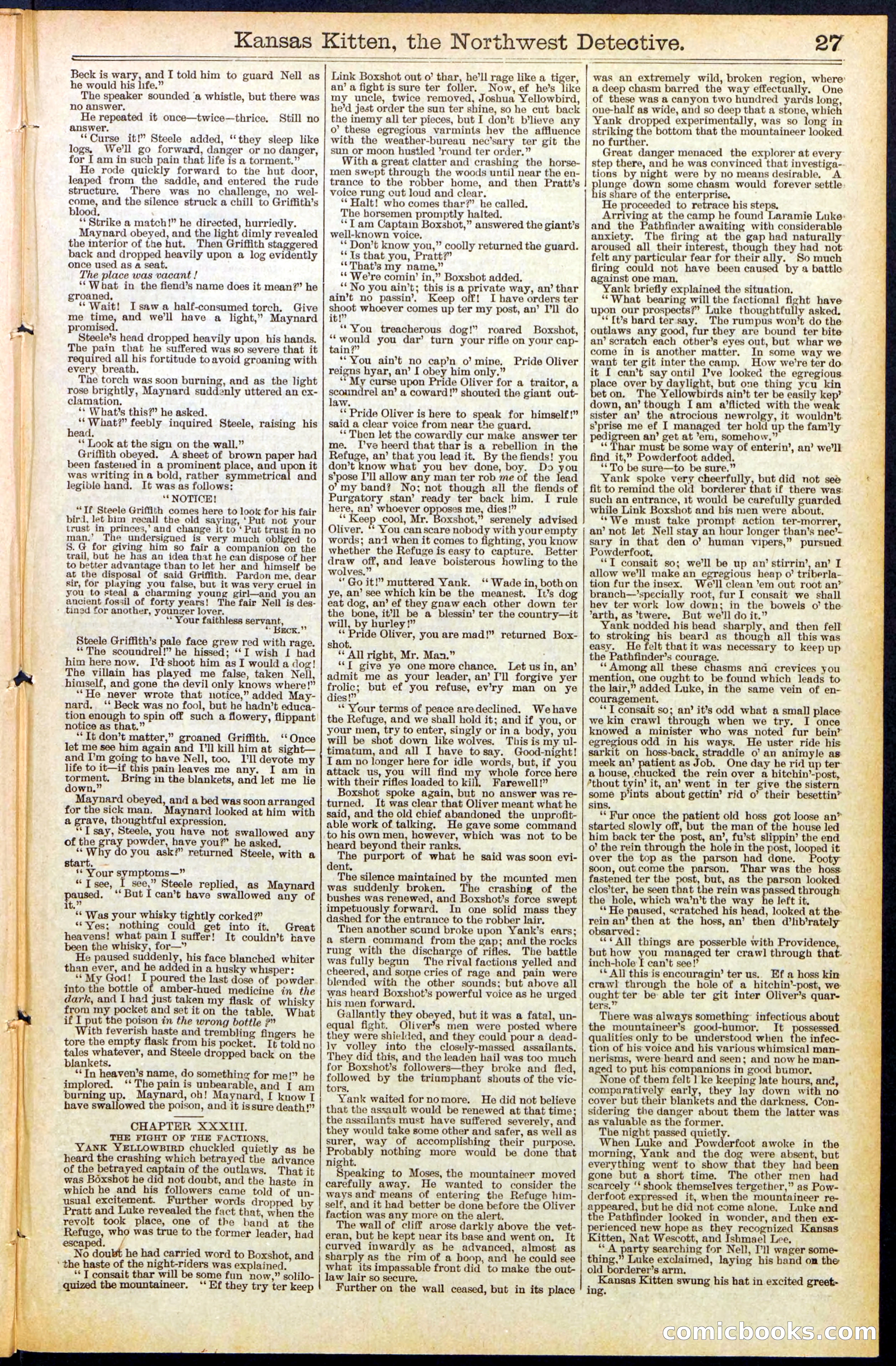 Beadle's New York Dime Library, No. 486 — page 27 of 32