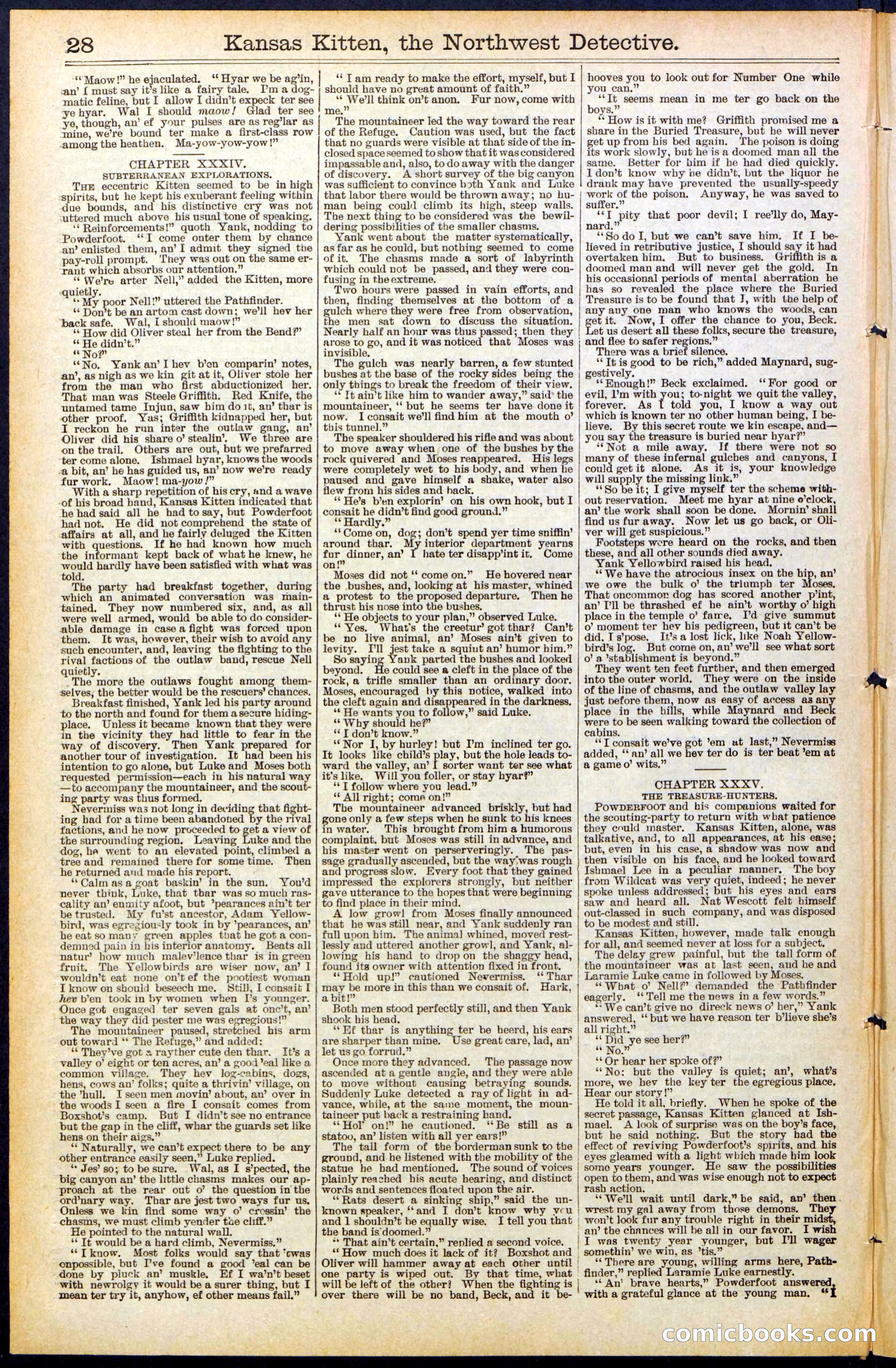 Beadle's New York Dime Library, No. 486 — page 28 of 32