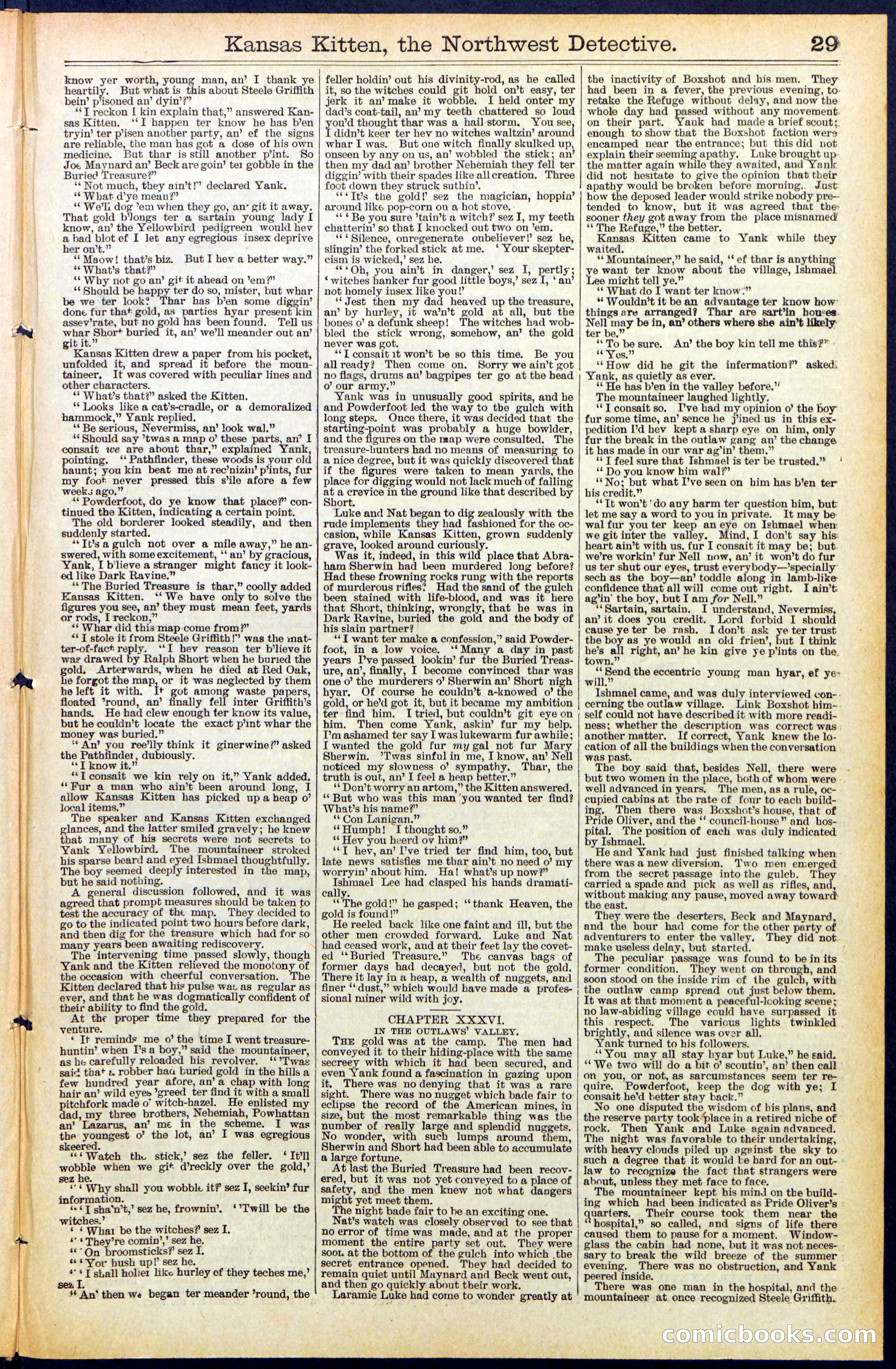 Beadle's New York Dime Library, No. 486 — page 29 of 32