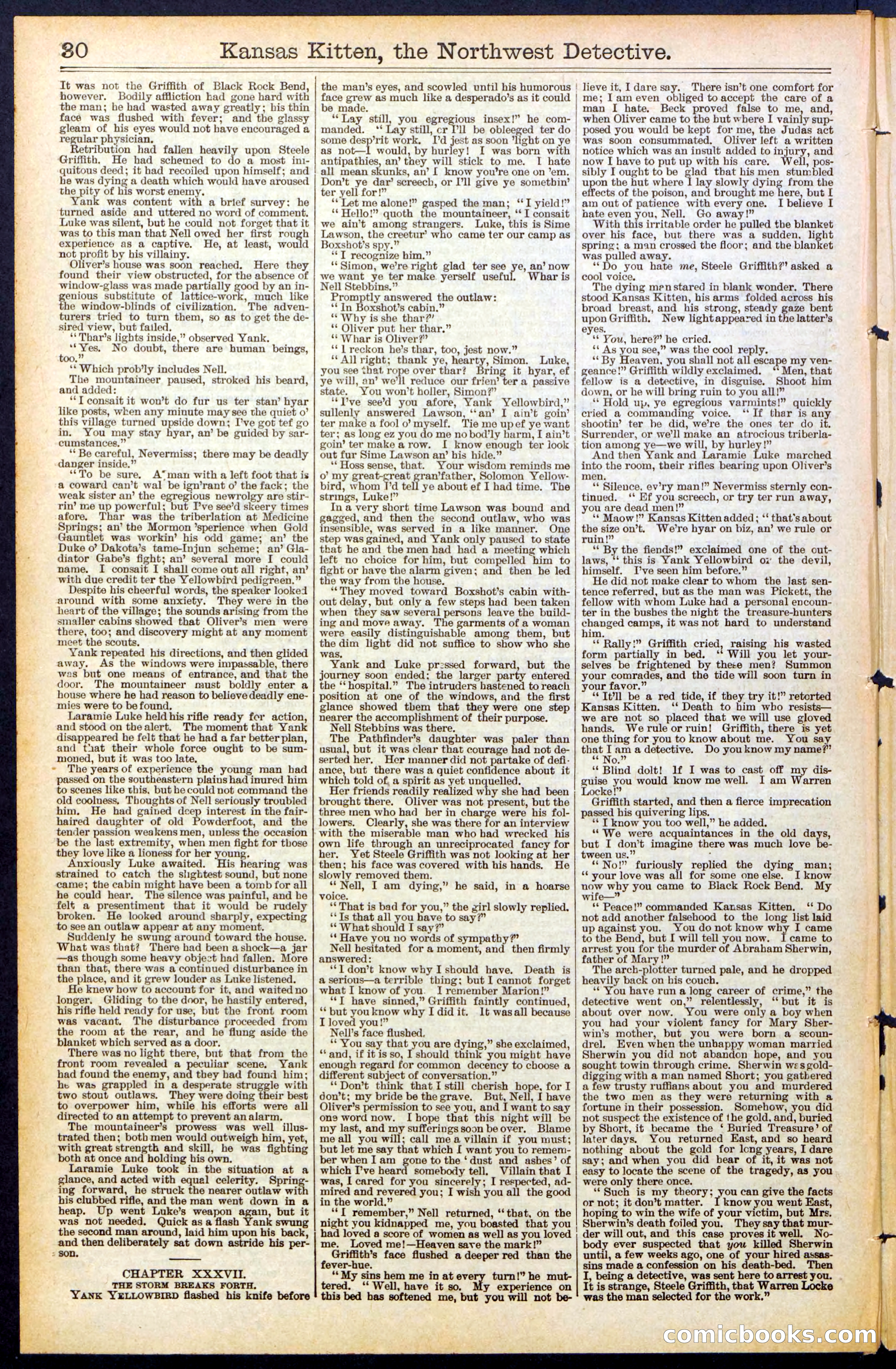 Beadle's New York Dime Library, No. 486 — page 30 of 32