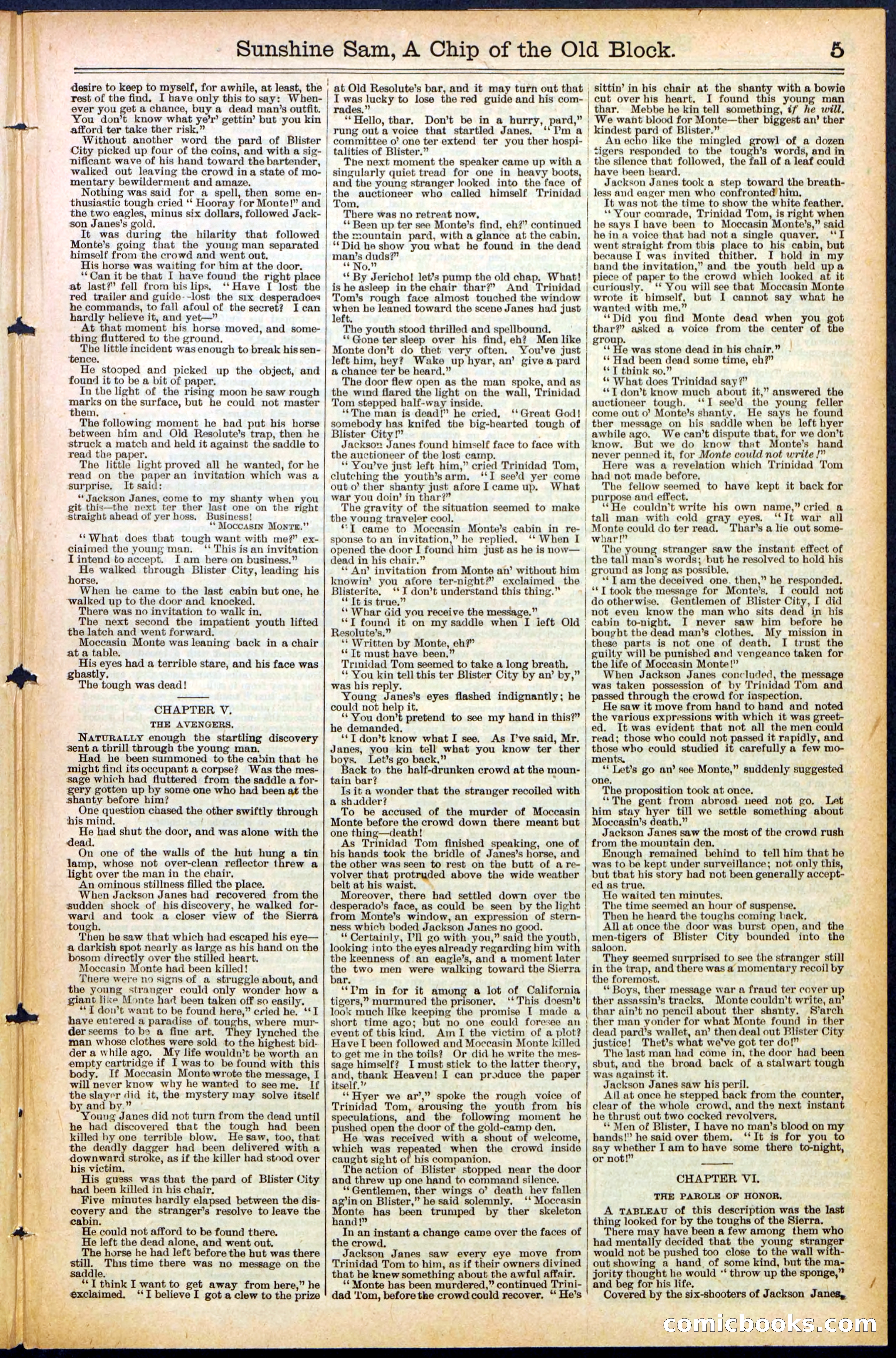 Beadle's New York Dime Library No. 487 — page 5 of 32