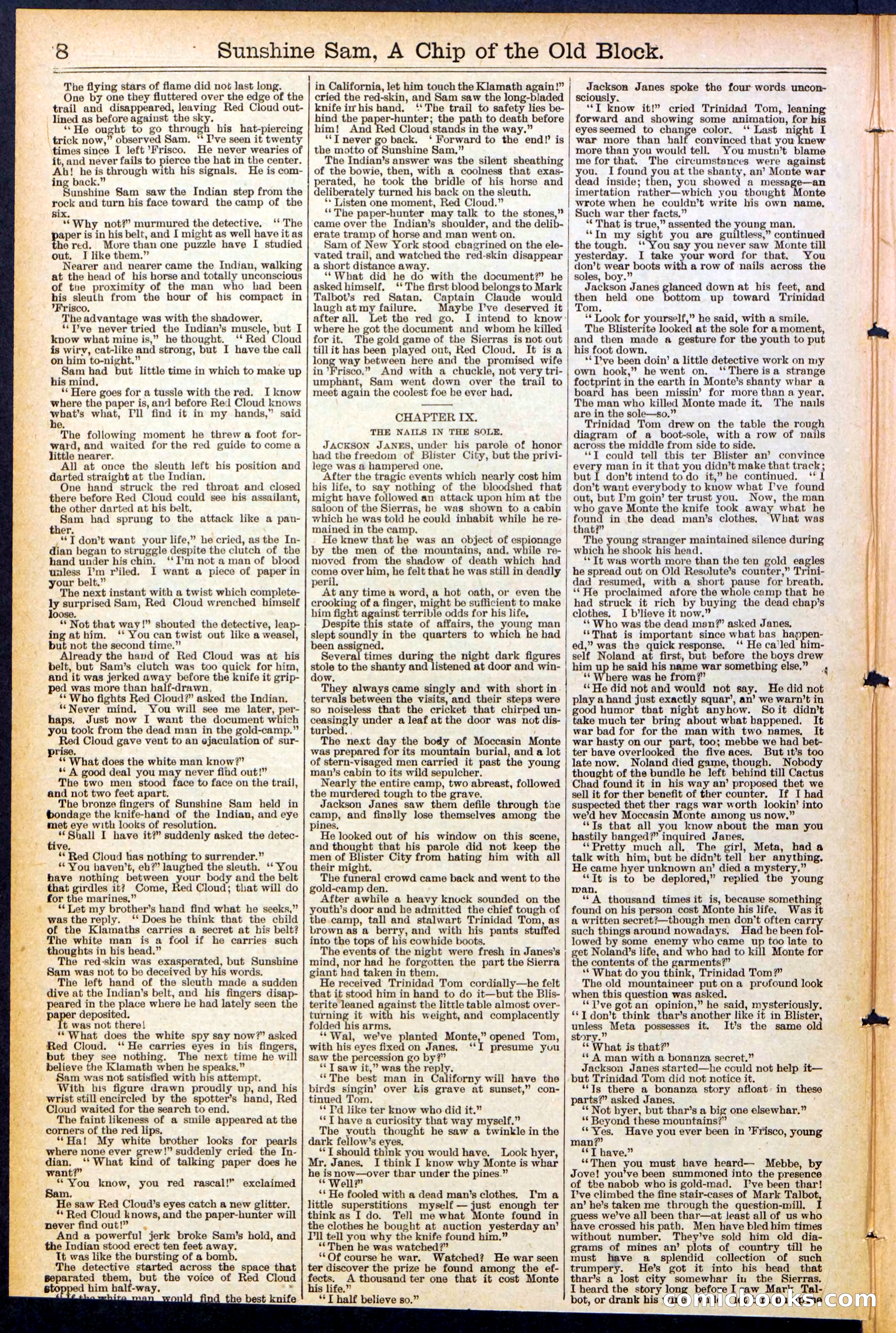 Beadle's New York Dime Library No. 487 — page 8 of 32
