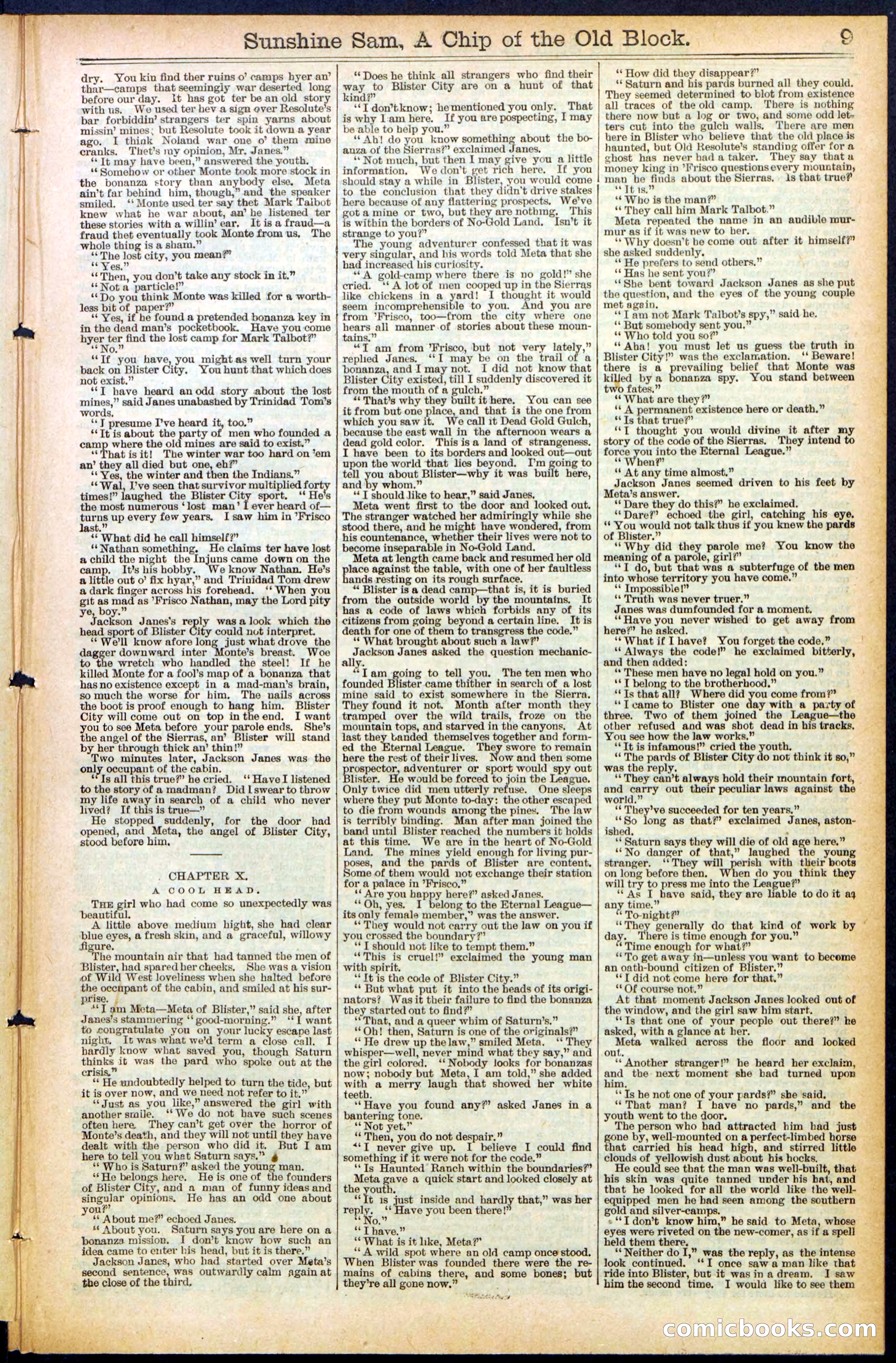 Beadle's New York Dime Library No. 487 — page 9 of 32
