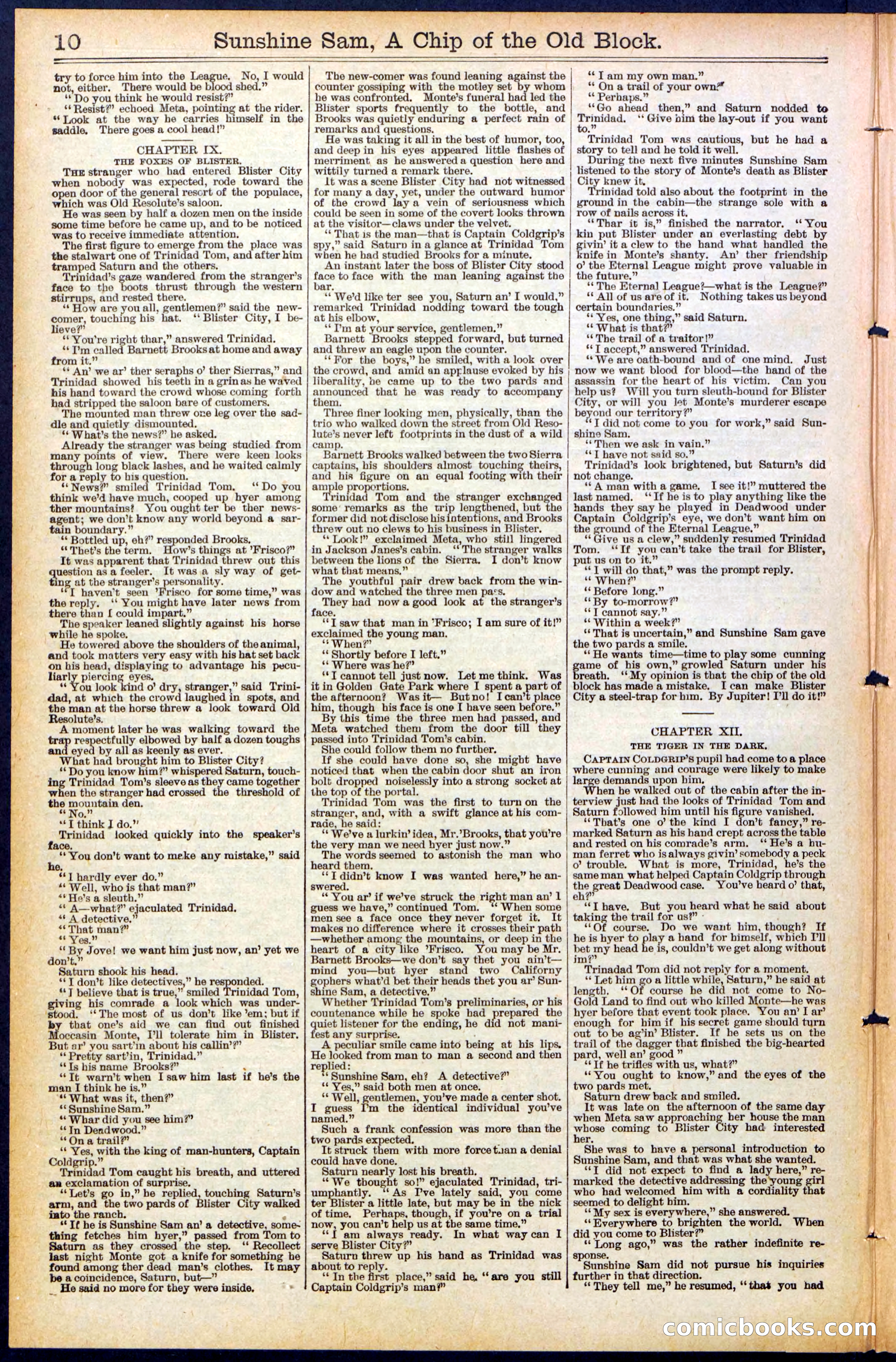 Beadle's New York Dime Library No. 487 — page 10 of 32