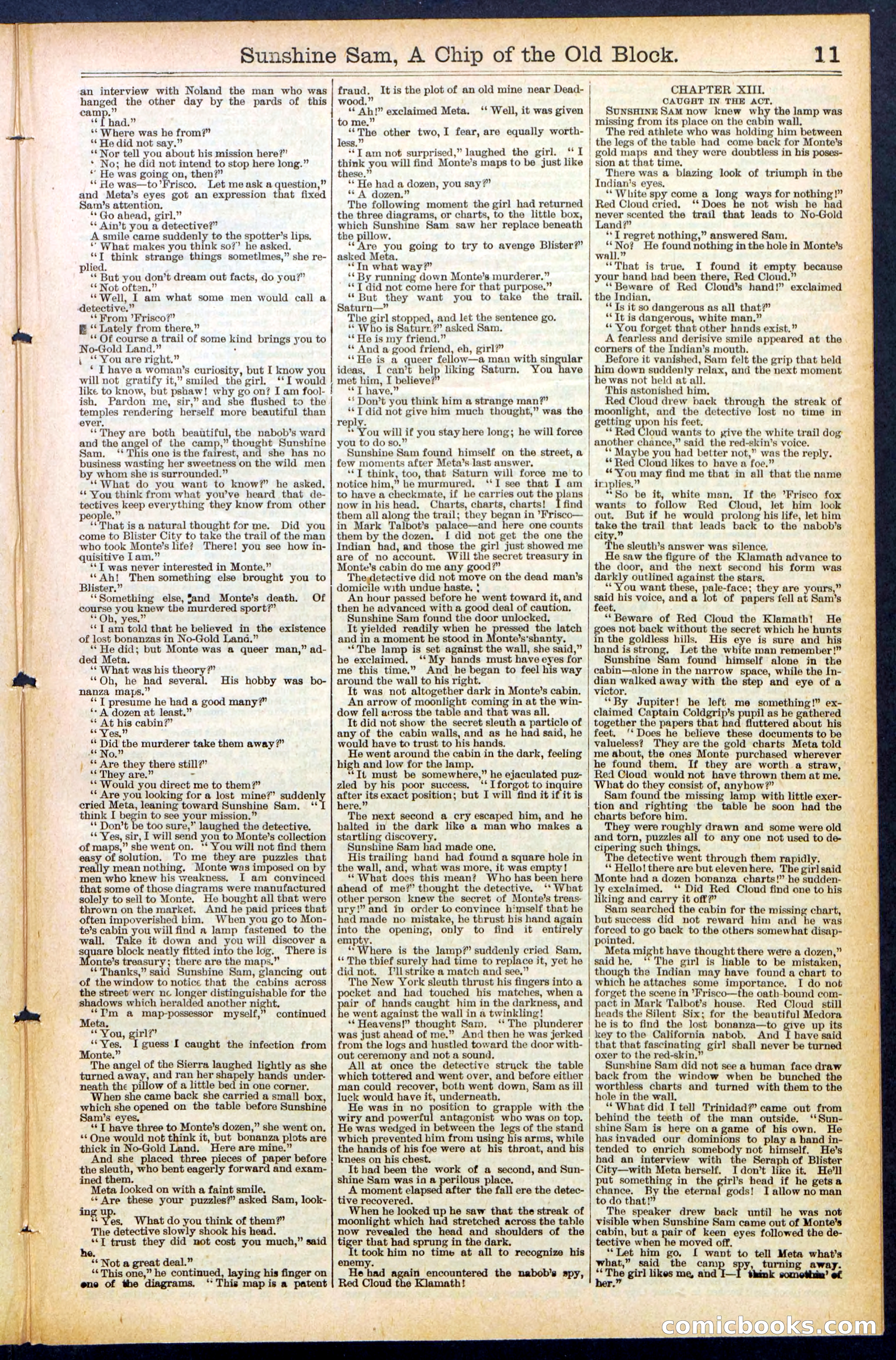 Beadle's New York Dime Library No. 487 — page 11 of 32