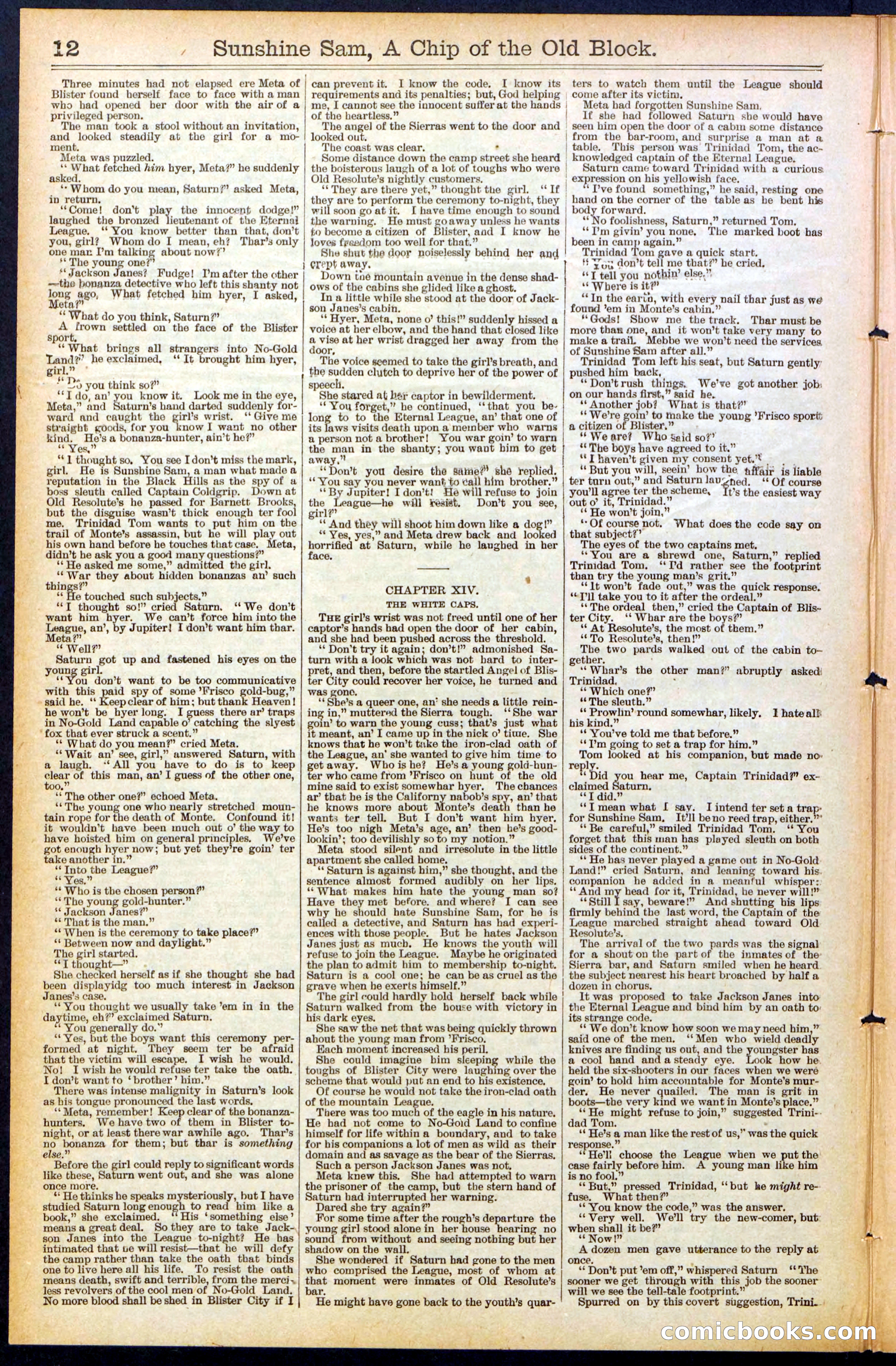 Beadle's New York Dime Library No. 487 — page 12 of 32