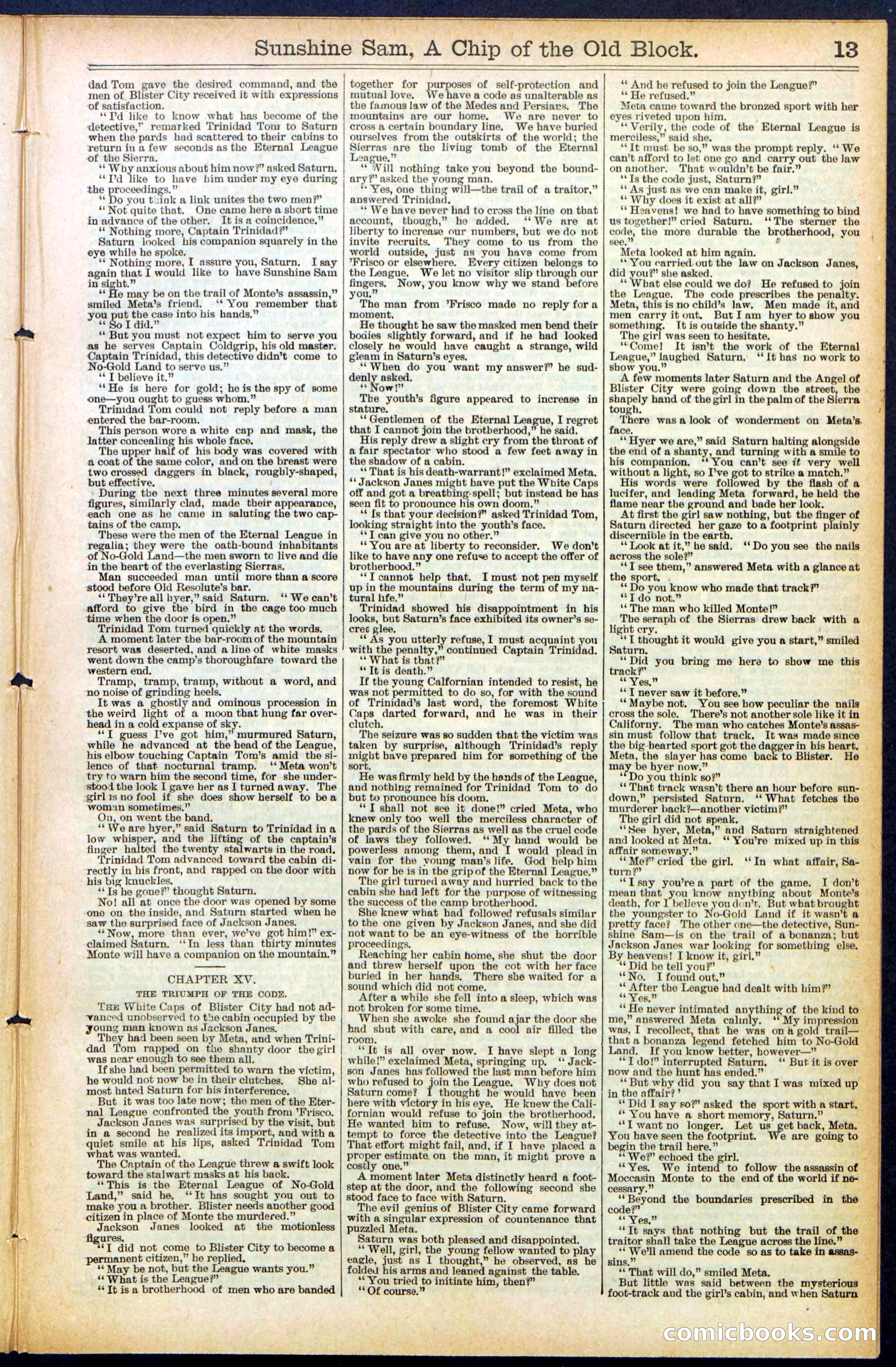 Beadle's New York Dime Library No. 487 — page 13 of 32