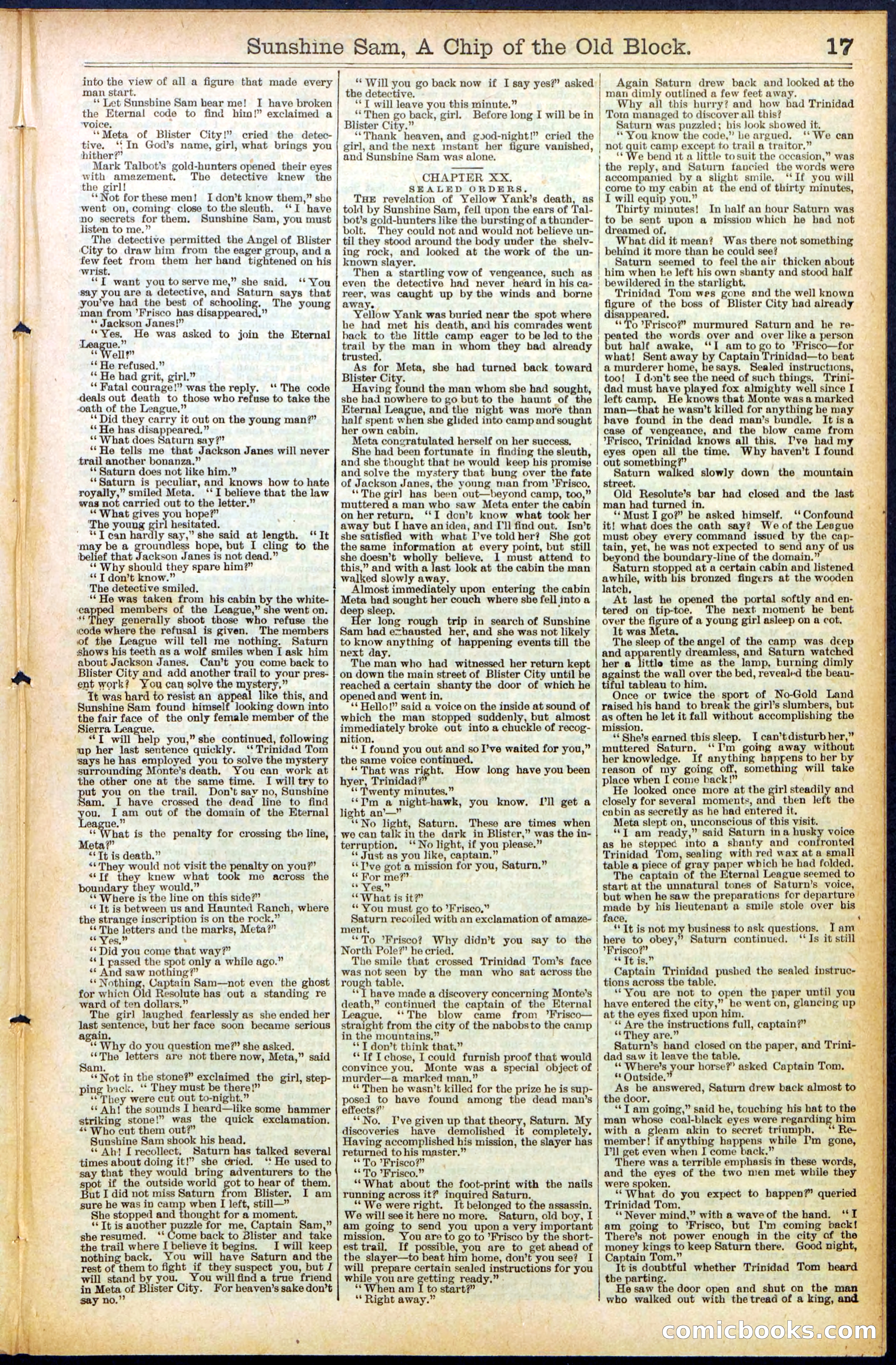 Beadle's New York Dime Library No. 487 — page 17 of 32
