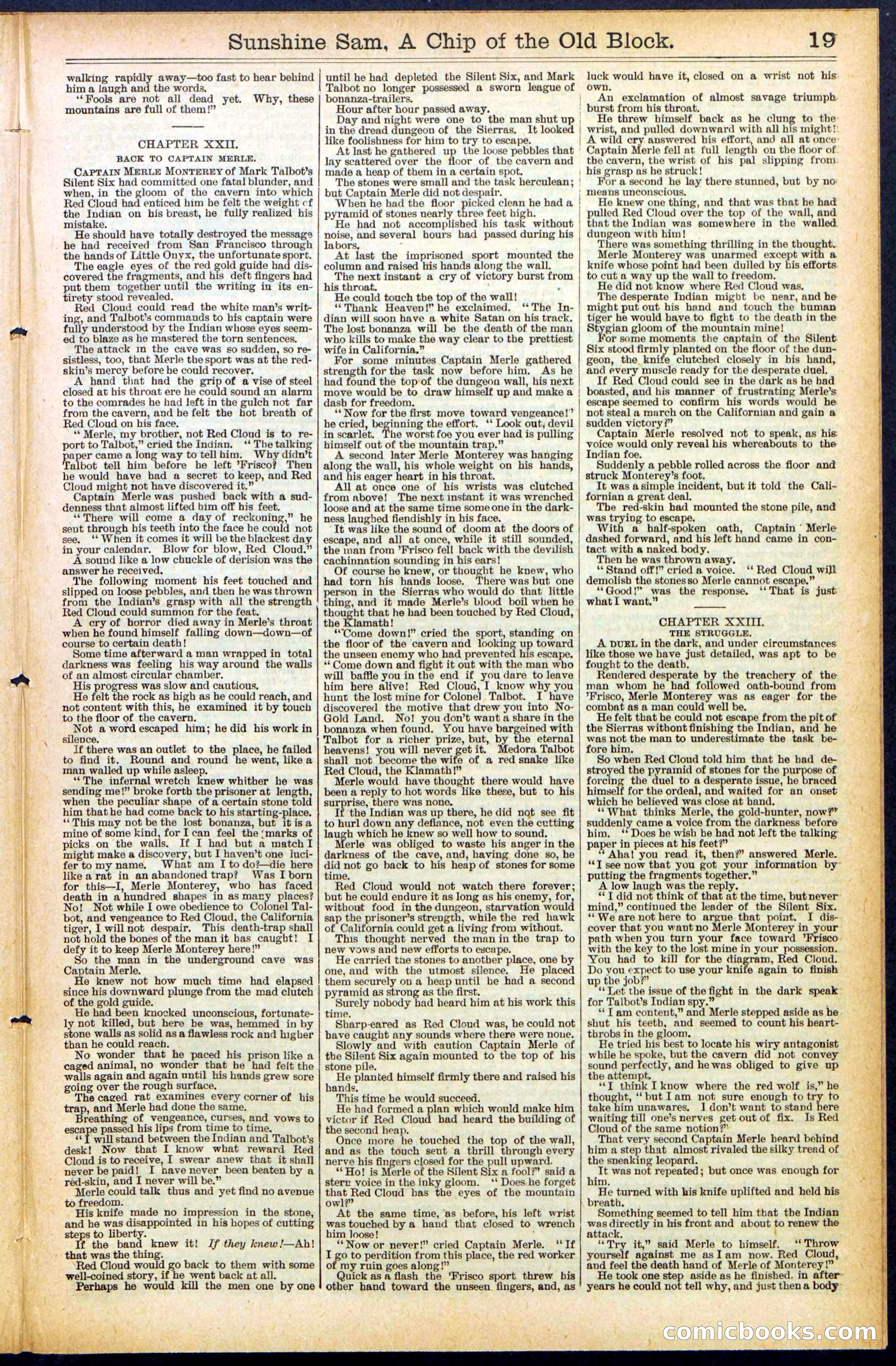 Beadle's New York Dime Library No. 487 — page 19 of 32