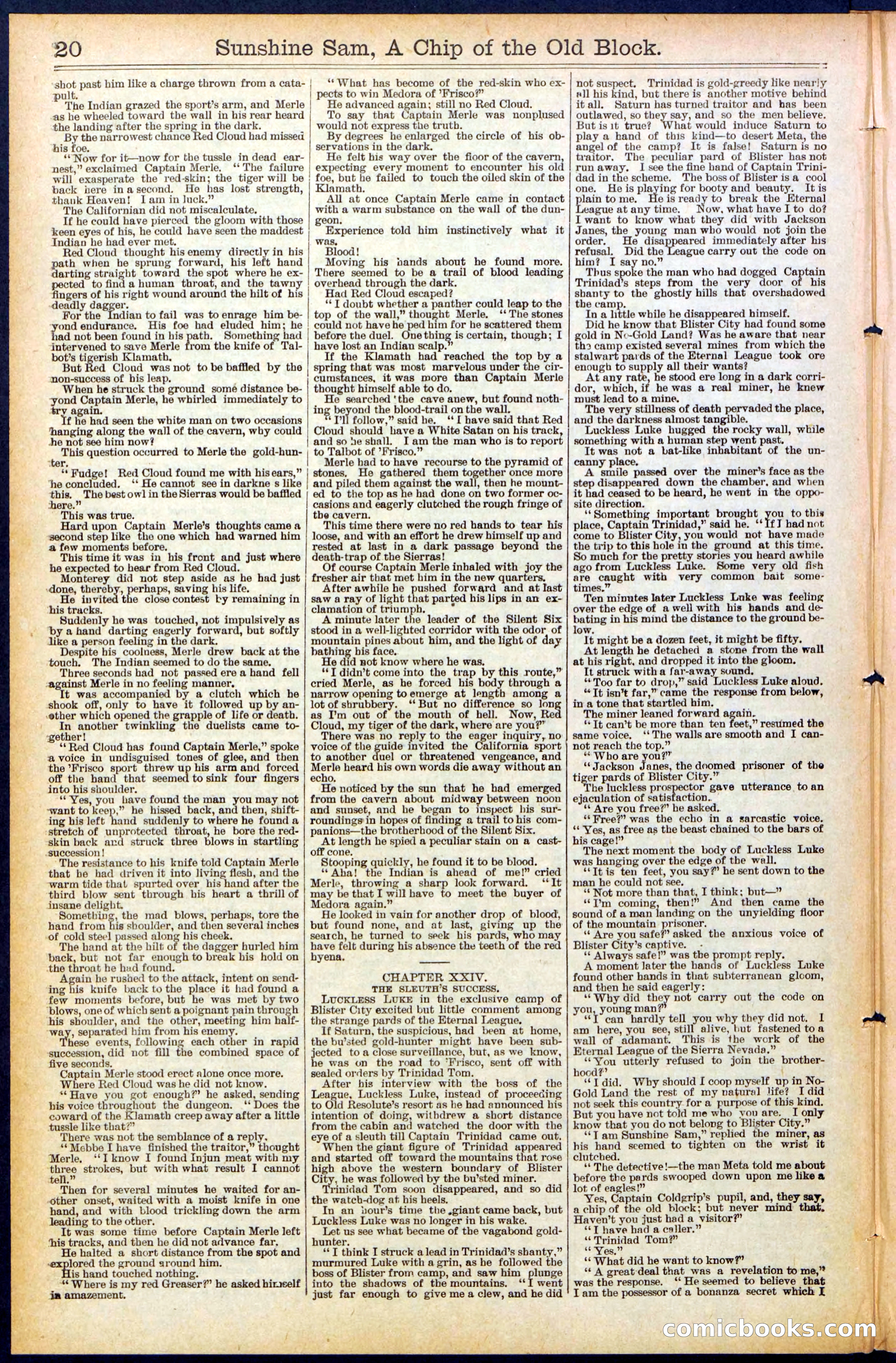 Beadle's New York Dime Library No. 487 — page 20 of 32