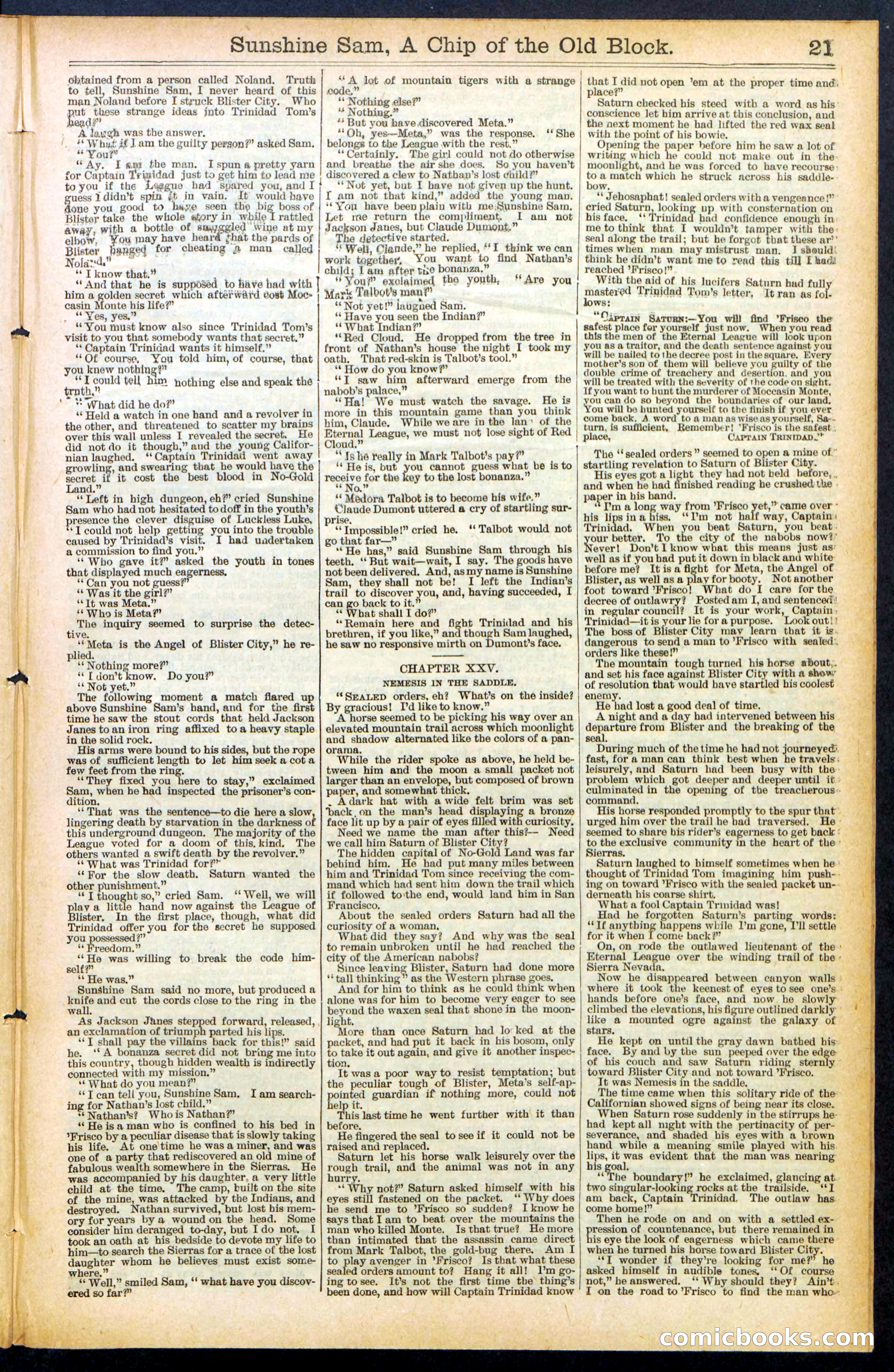 Beadle's New York Dime Library No. 487 — page 21 of 32