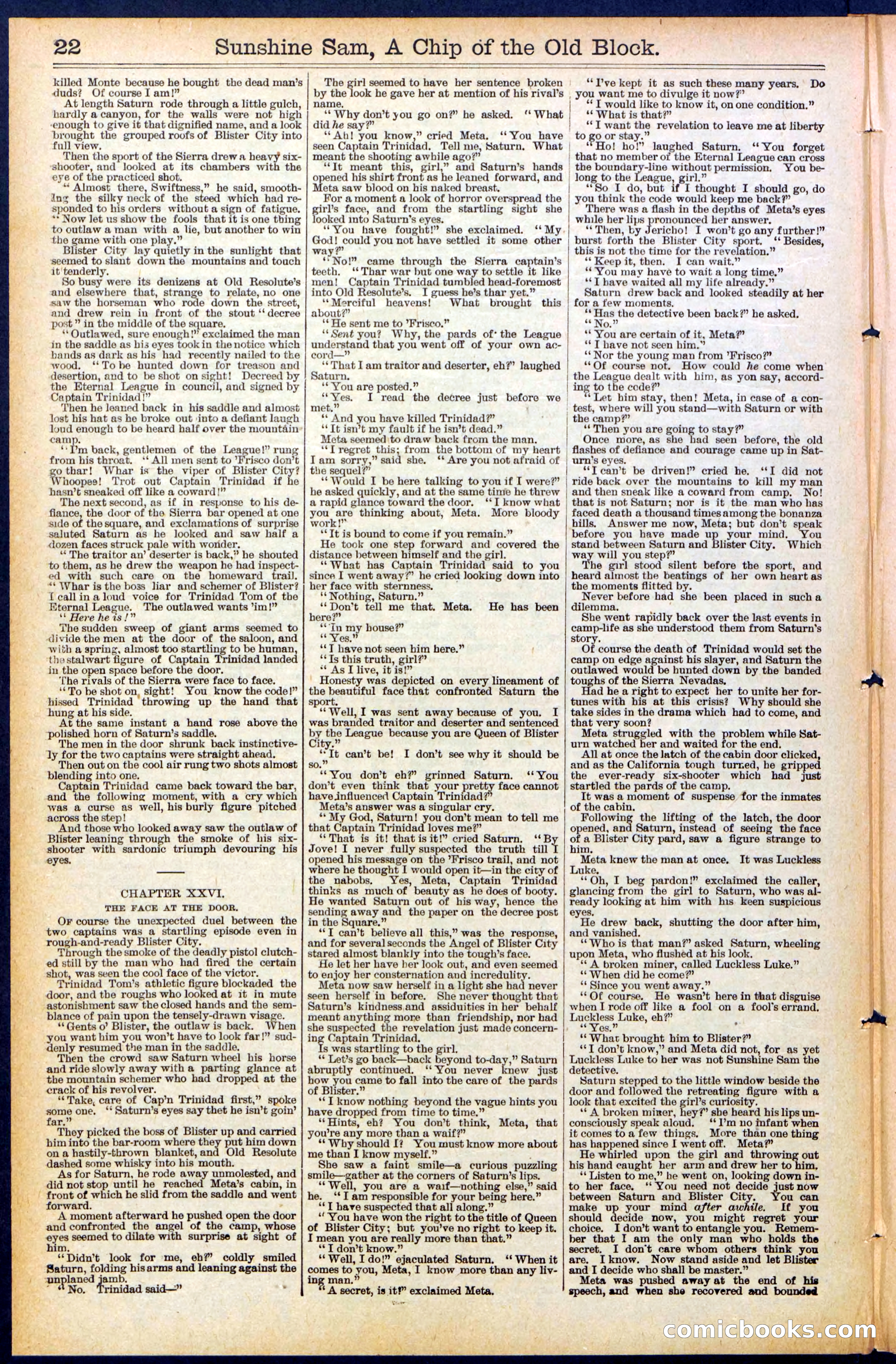 Beadle's New York Dime Library No. 487 — page 22 of 32