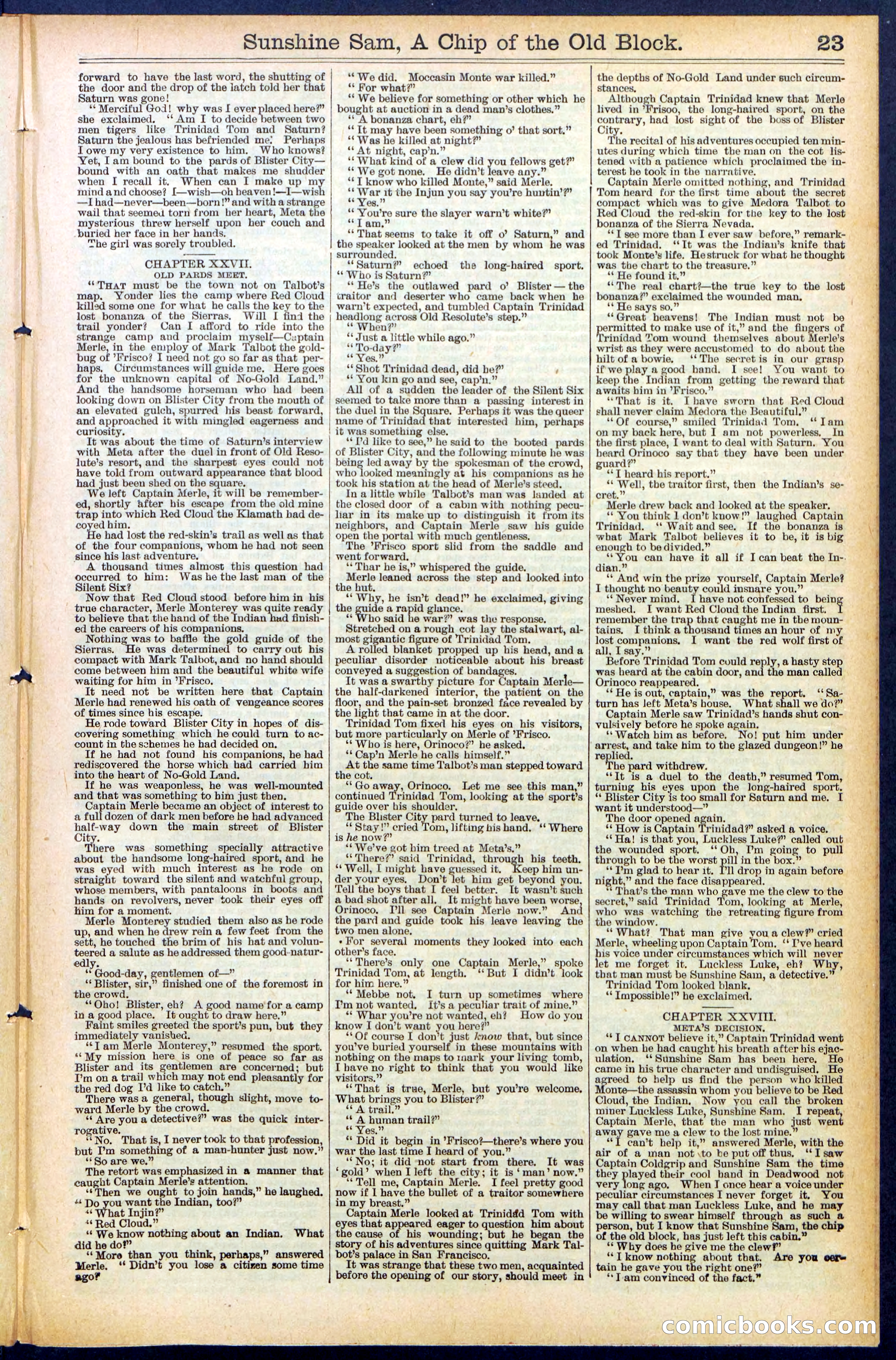 Beadle's New York Dime Library No. 487 — page 23 of 32