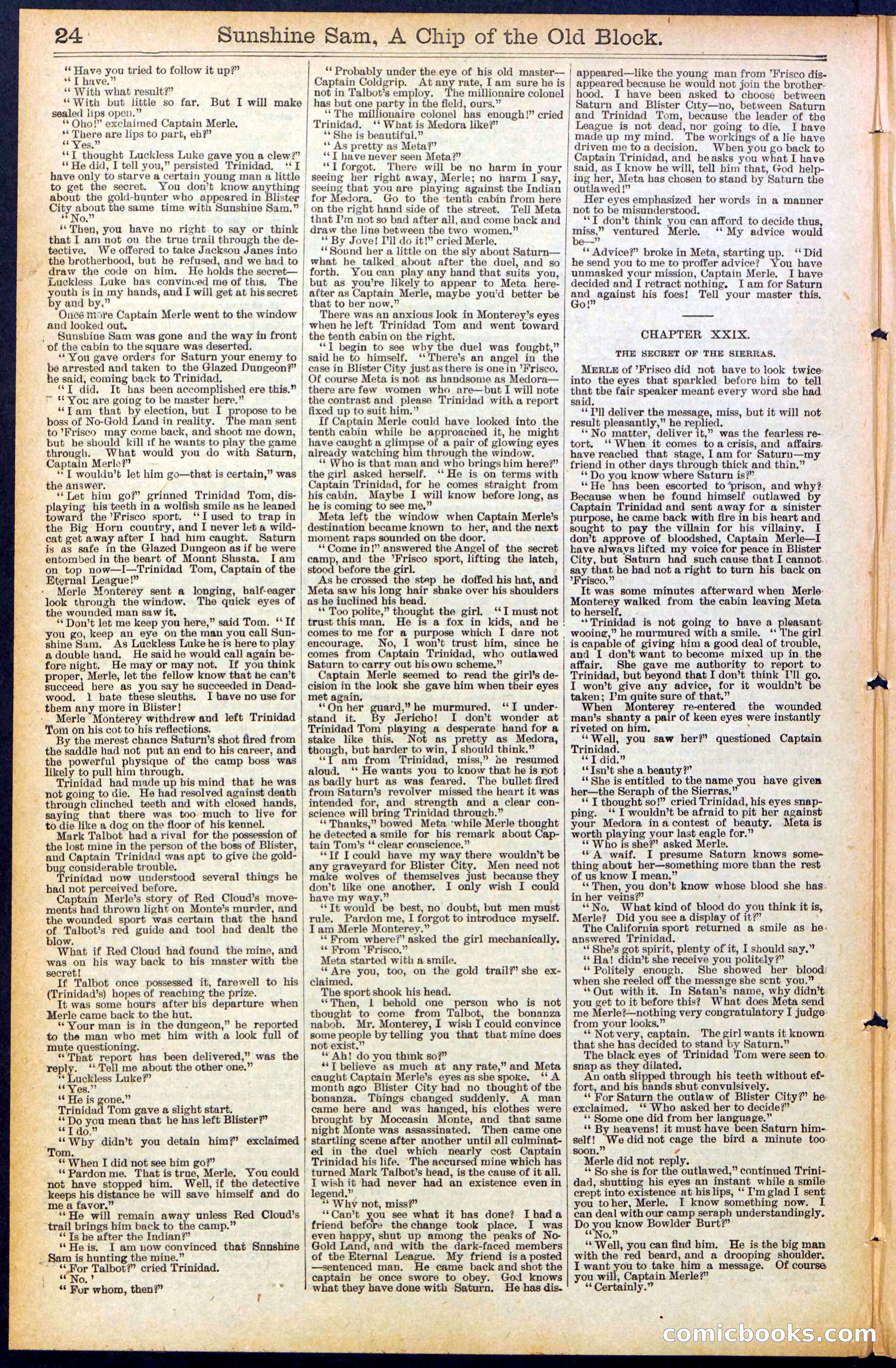 Beadle's New York Dime Library No. 487 — page 24 of 32