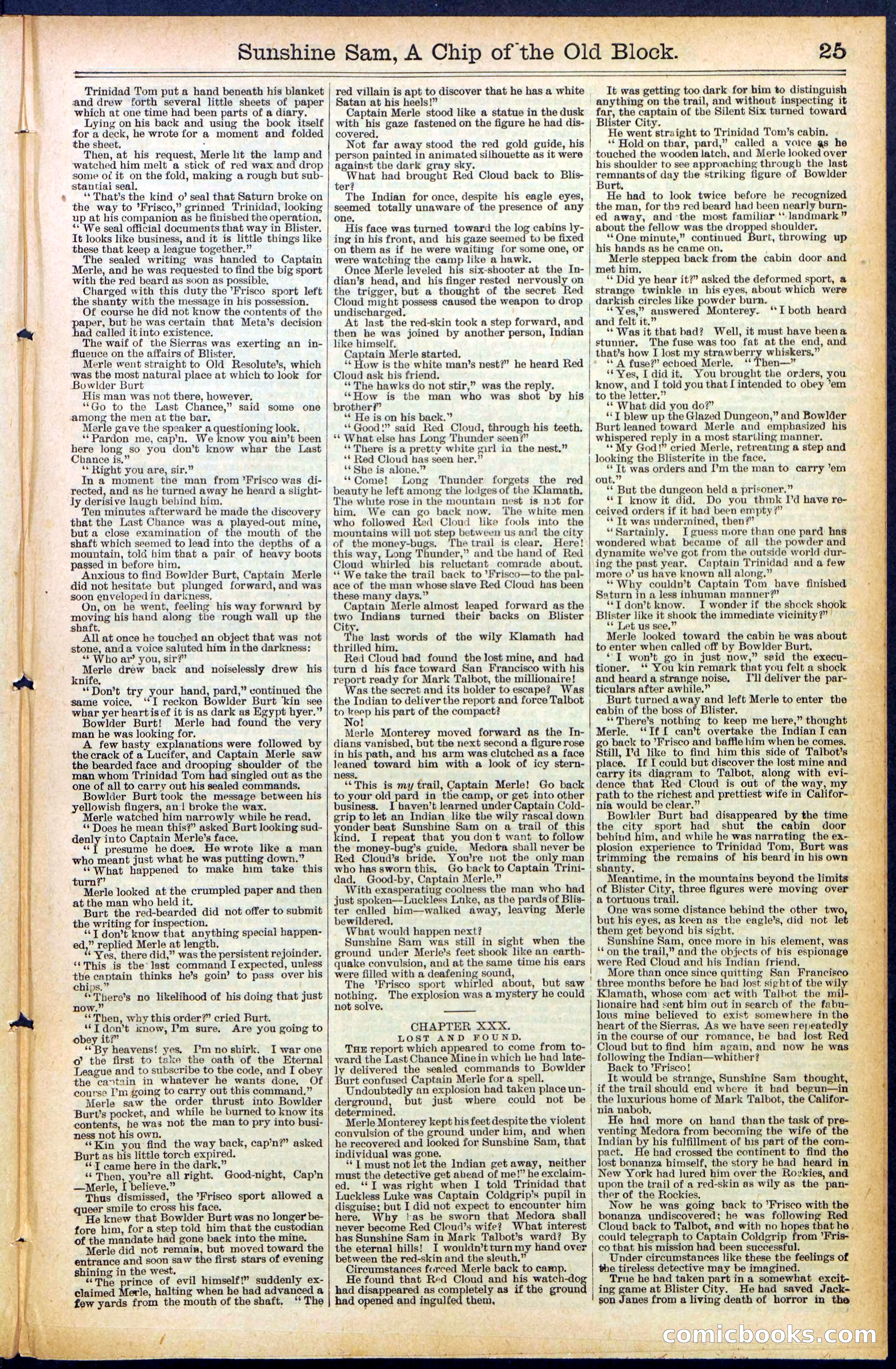 Beadle's New York Dime Library No. 487 — page 25 of 32