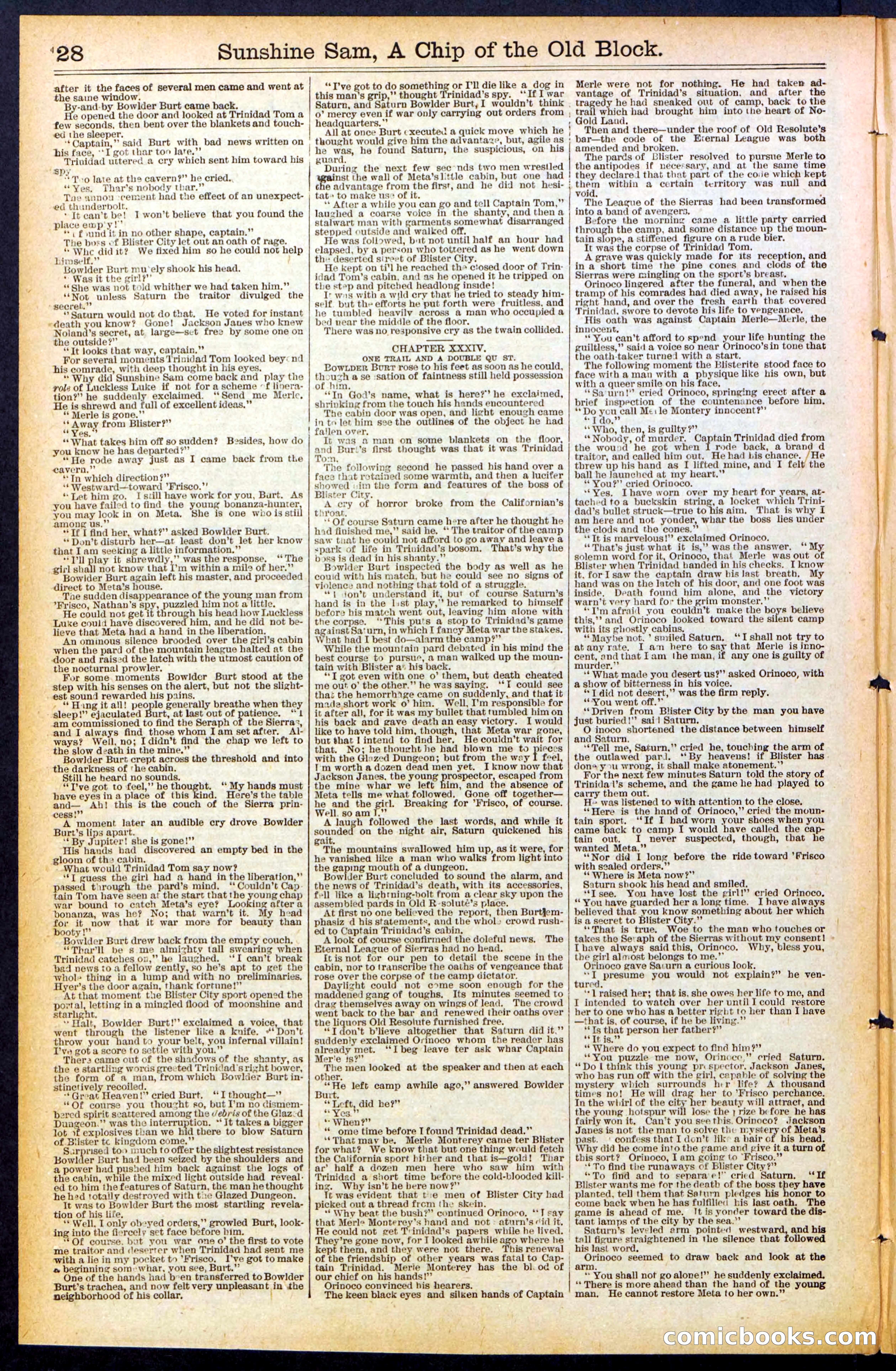 Beadle's New York Dime Library No. 487 — page 28 of 32
