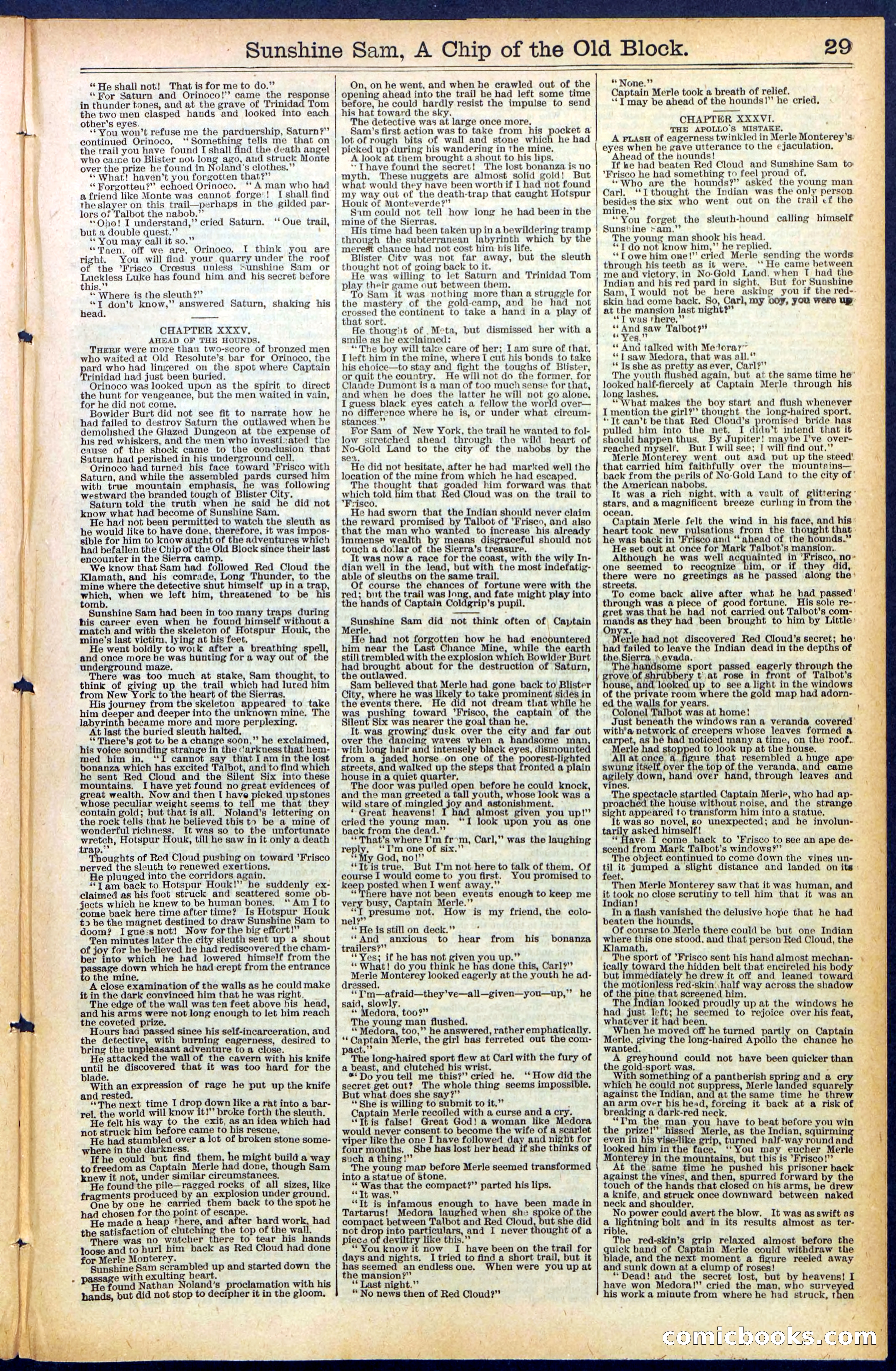 Beadle's New York Dime Library No. 487 — page 29 of 32